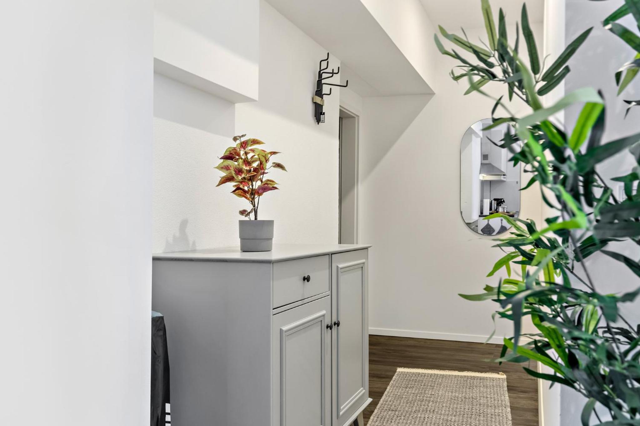 Studio Apartment photo 2