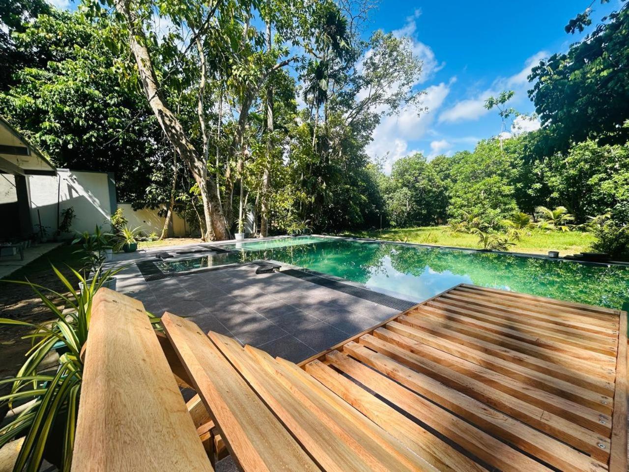 Studio with Pool View photo 3