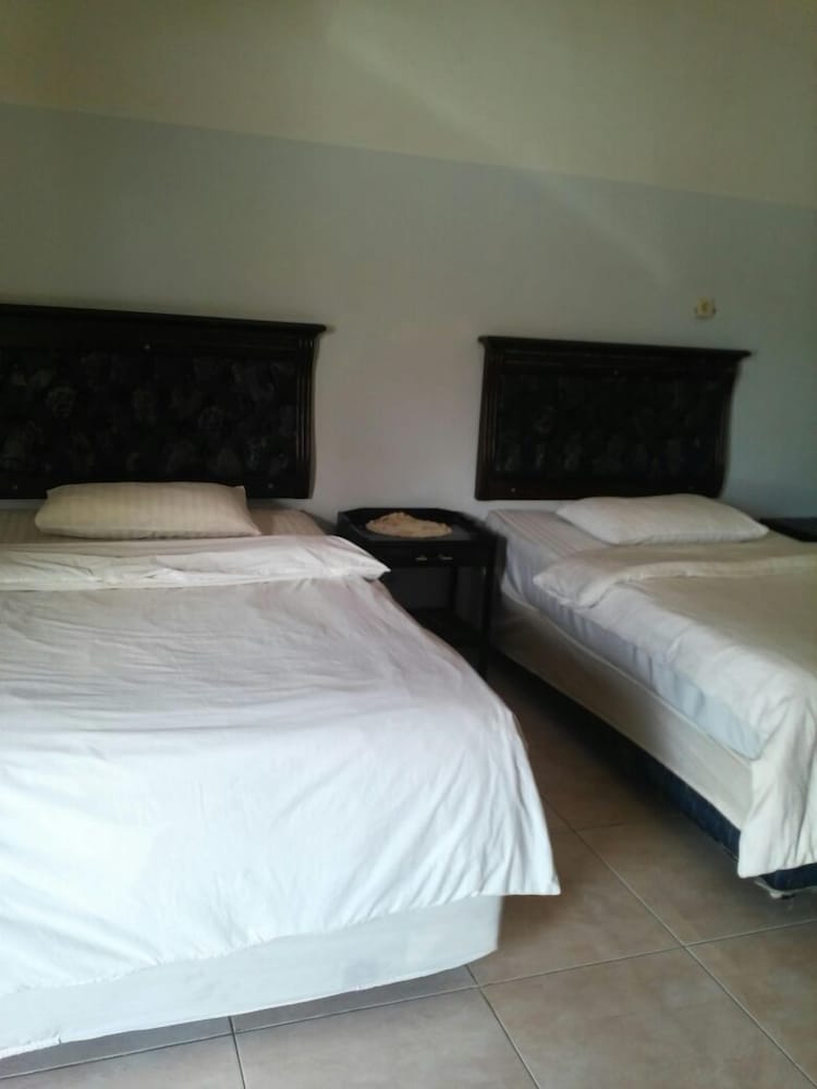 Standard Twin Room, 2 Twin Beds photo 1