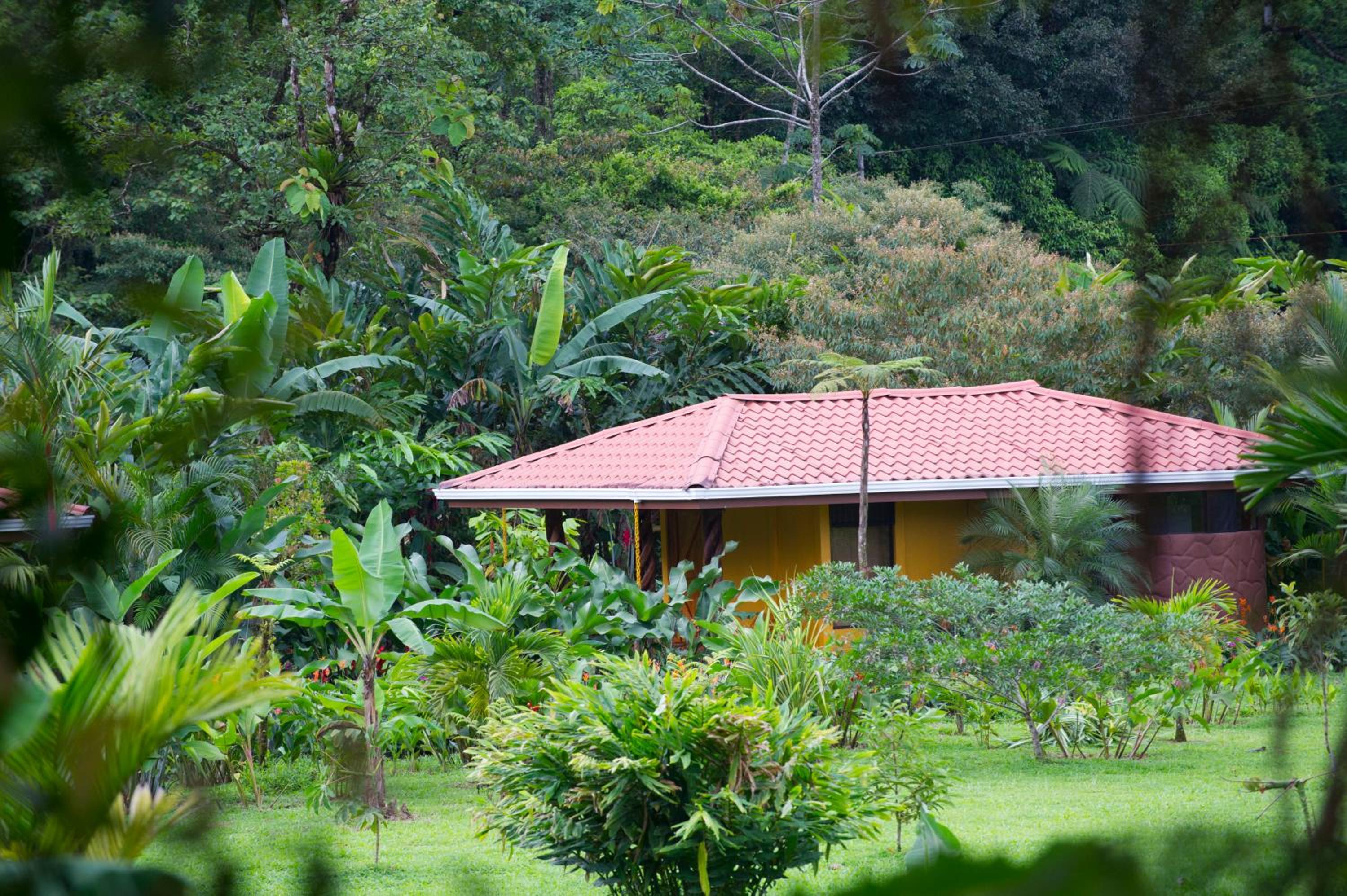 Bungalow photo 2