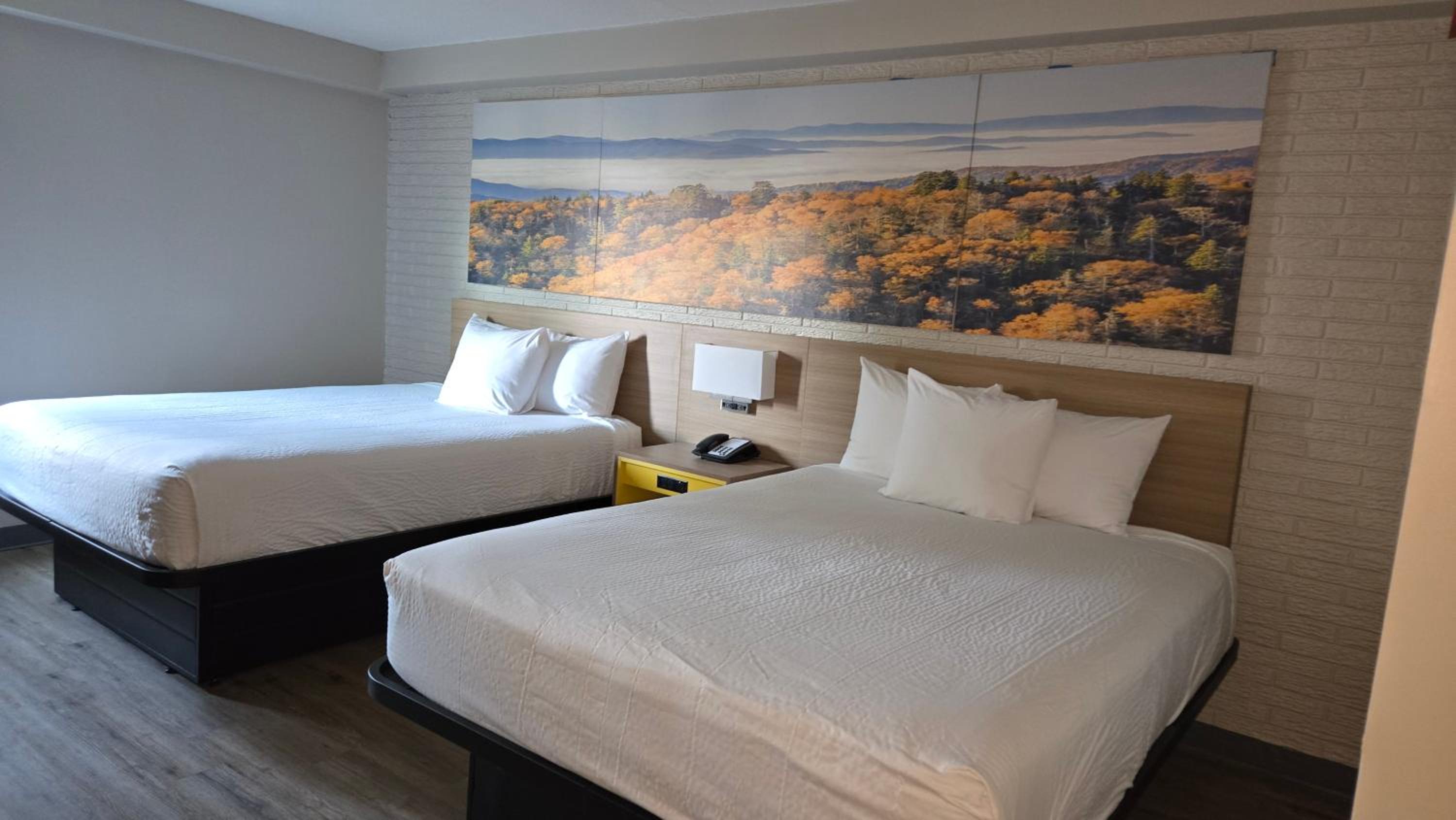 2 Queen Beds, Non-Smoking