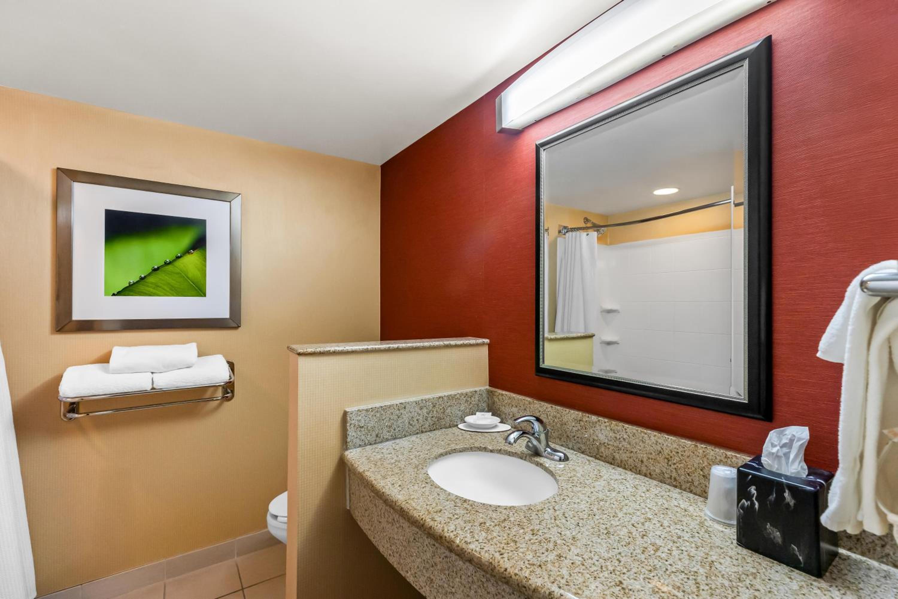 Accessible Deluxe 2 Queen Beds Roll in Shower - Photo 4