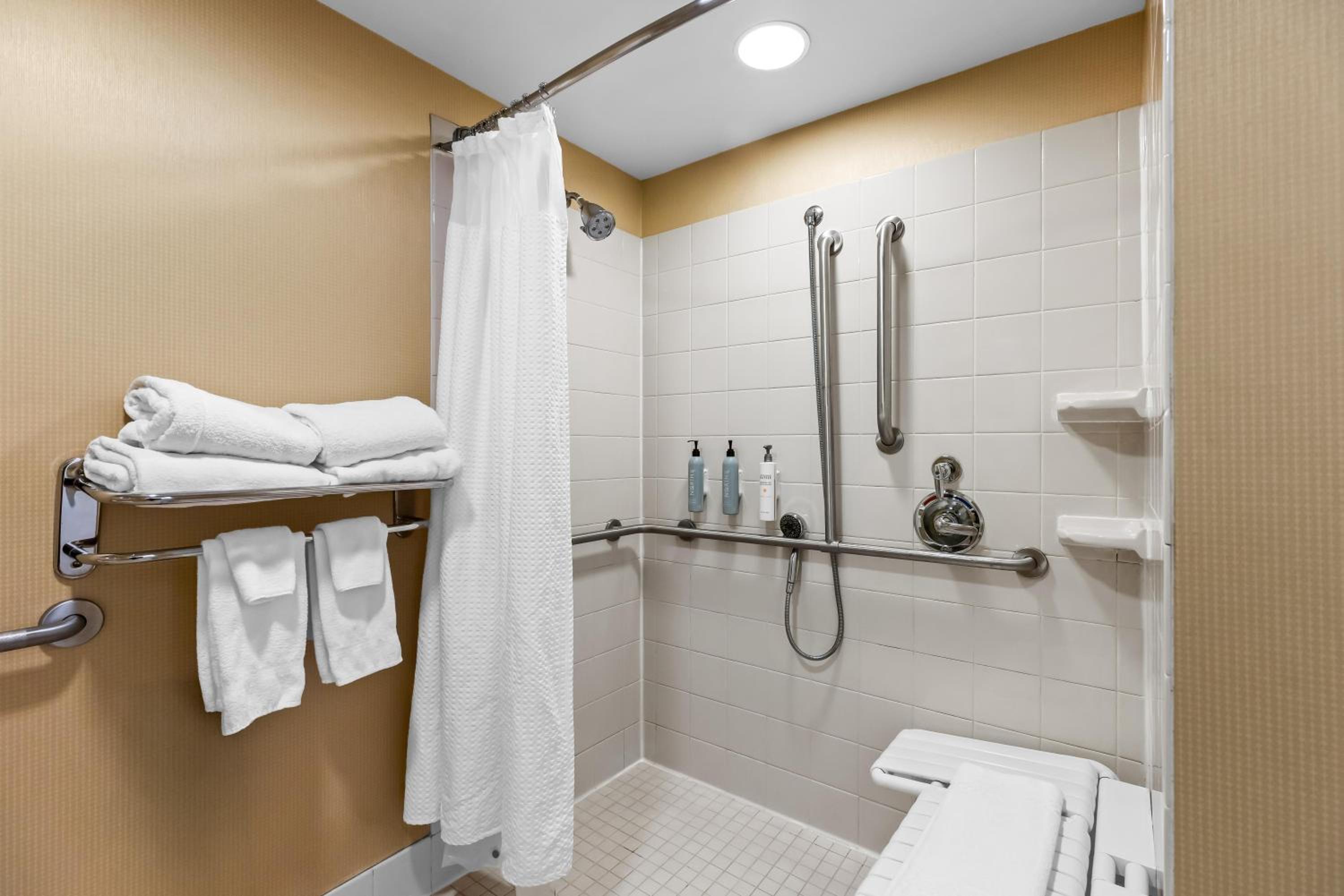 Accessible Deluxe 2 Queen Beds Roll in Shower - Photo 5