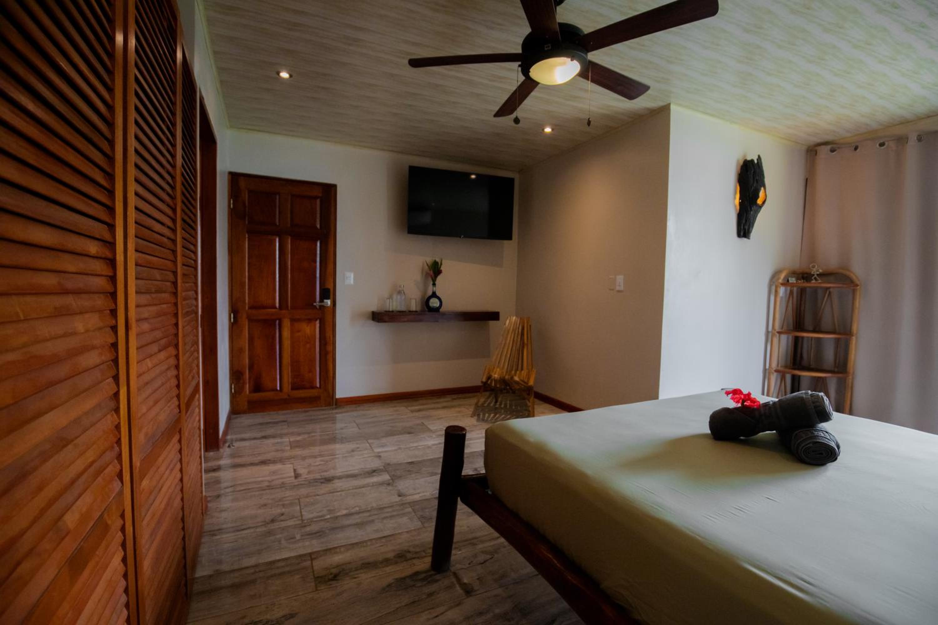 Superior Queen Room photo 2