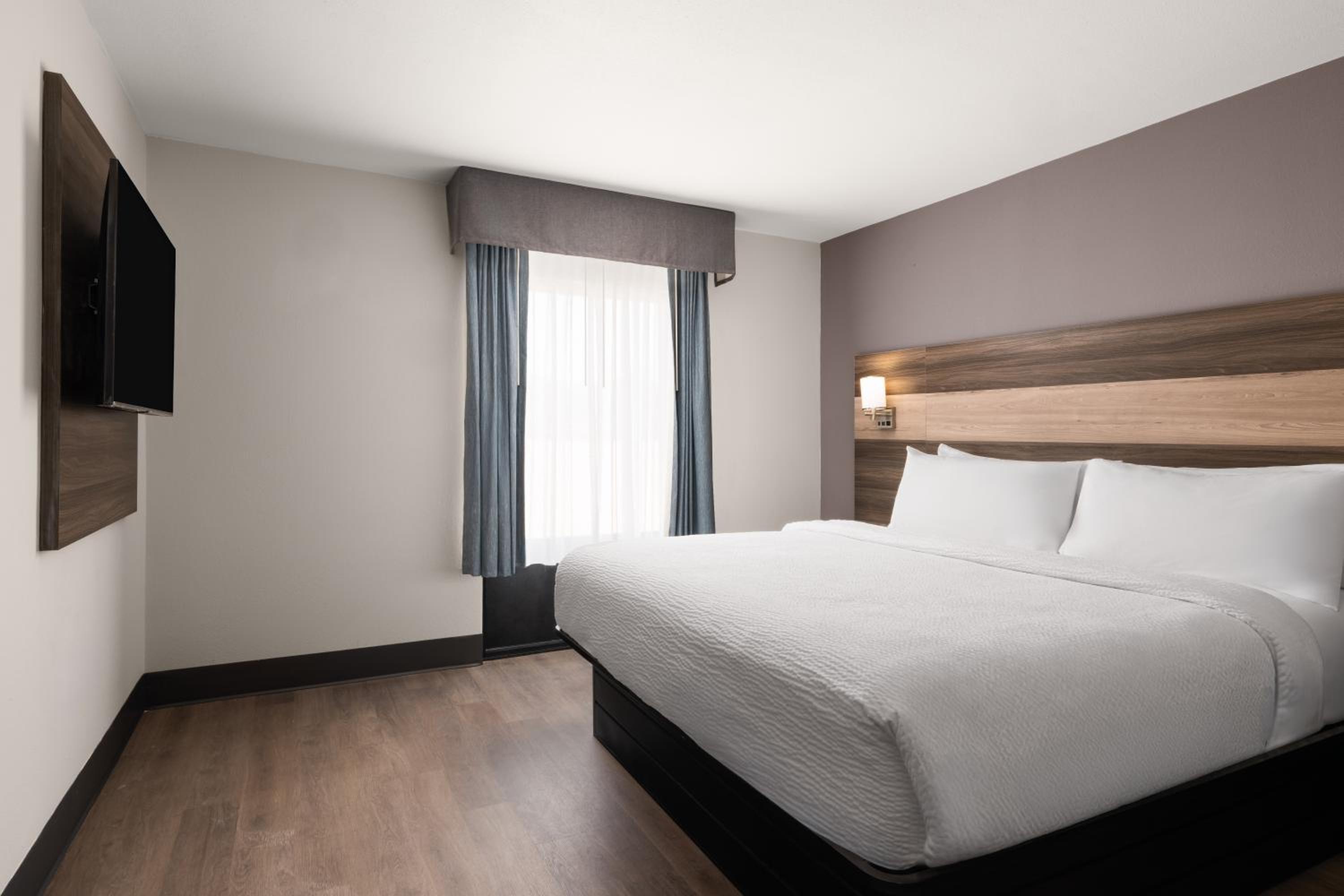 One-Bedroom Suite - Photo 3