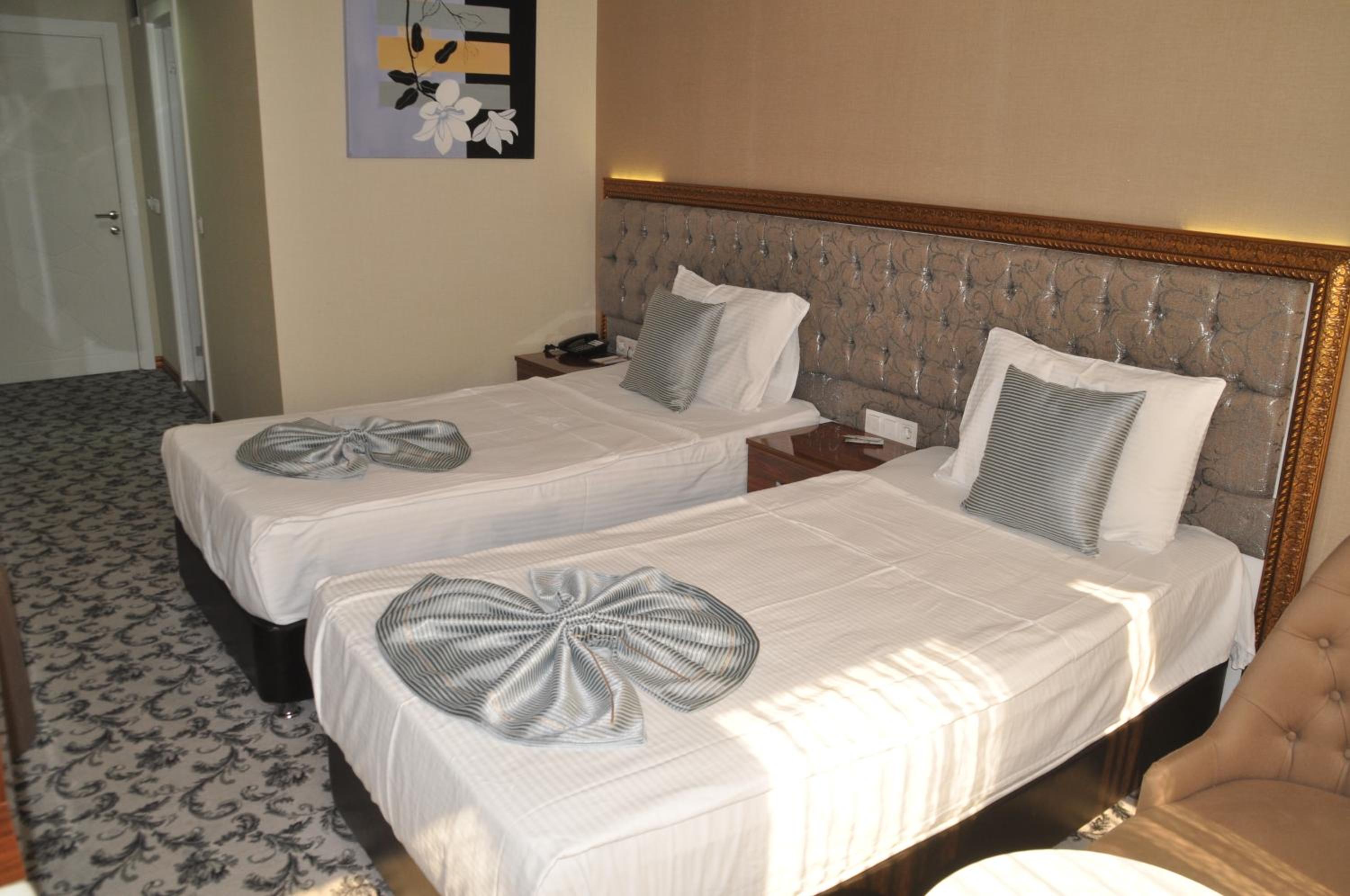Twin Room photo 1
