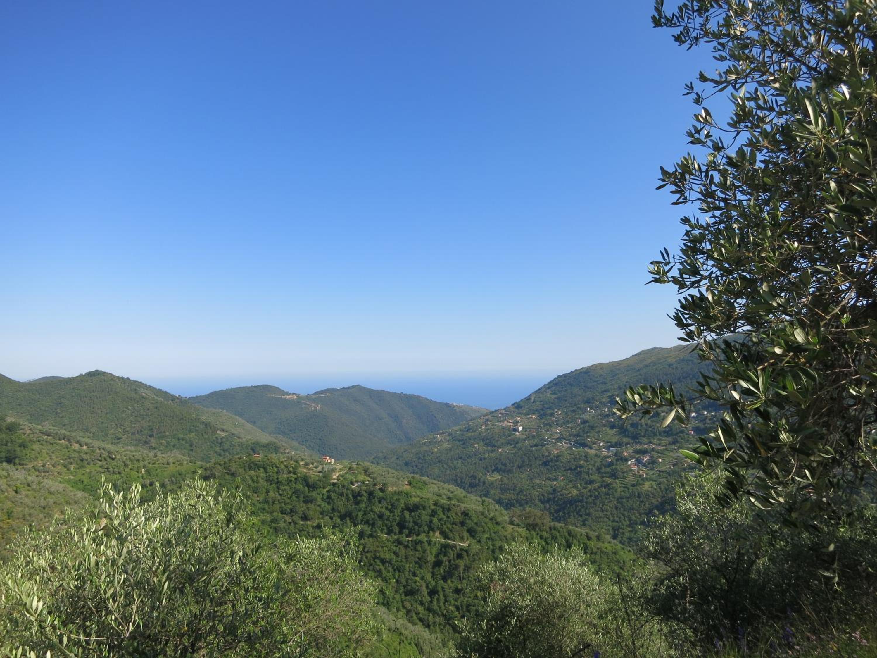 Holiday Home photo 3