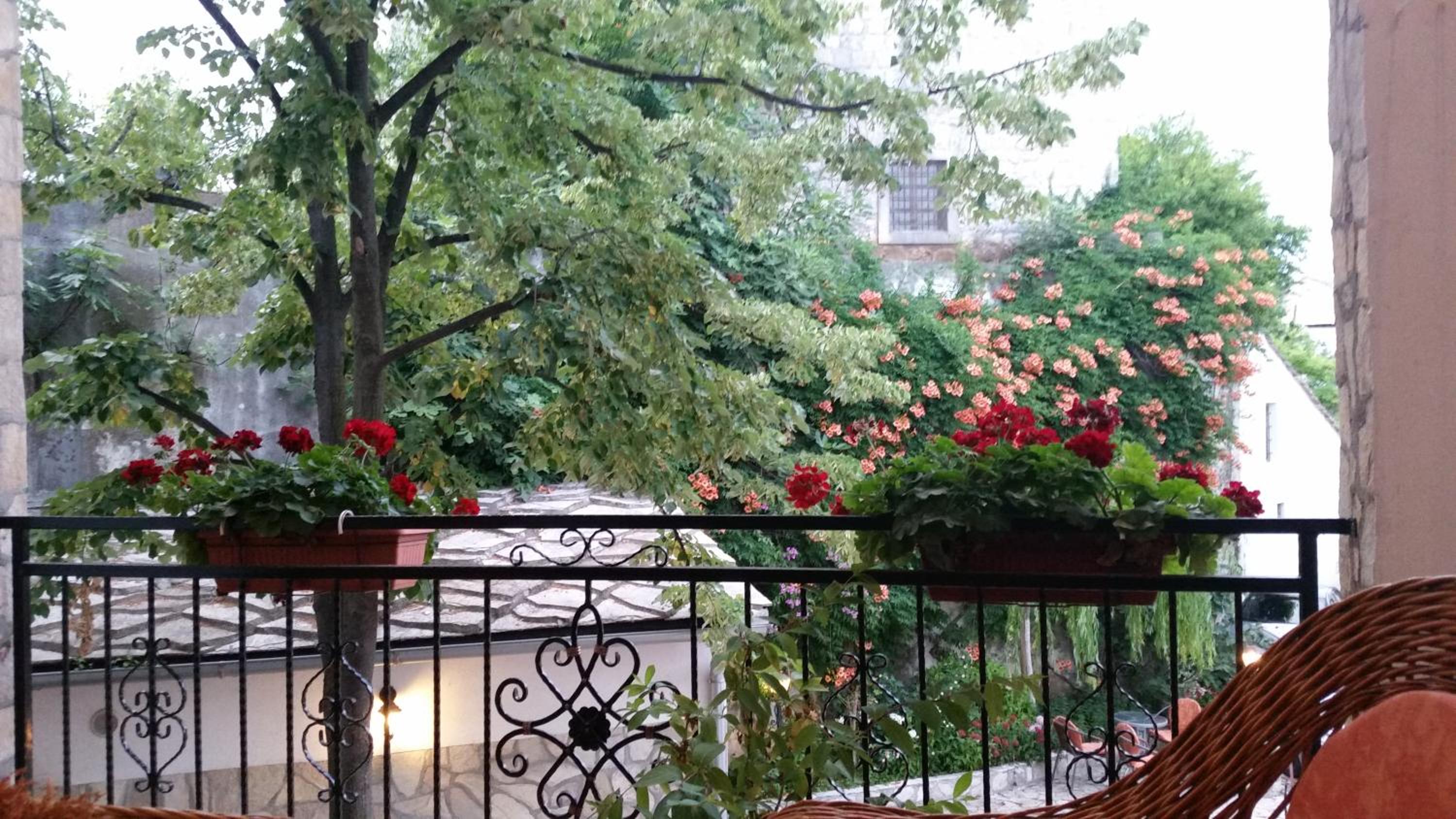 Balcony & Terrace
