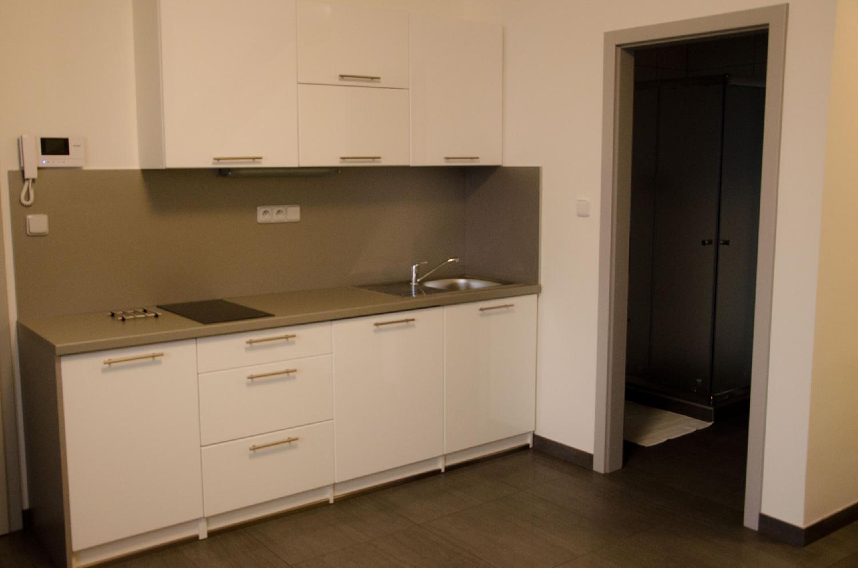 Duplex Apartment photo 3