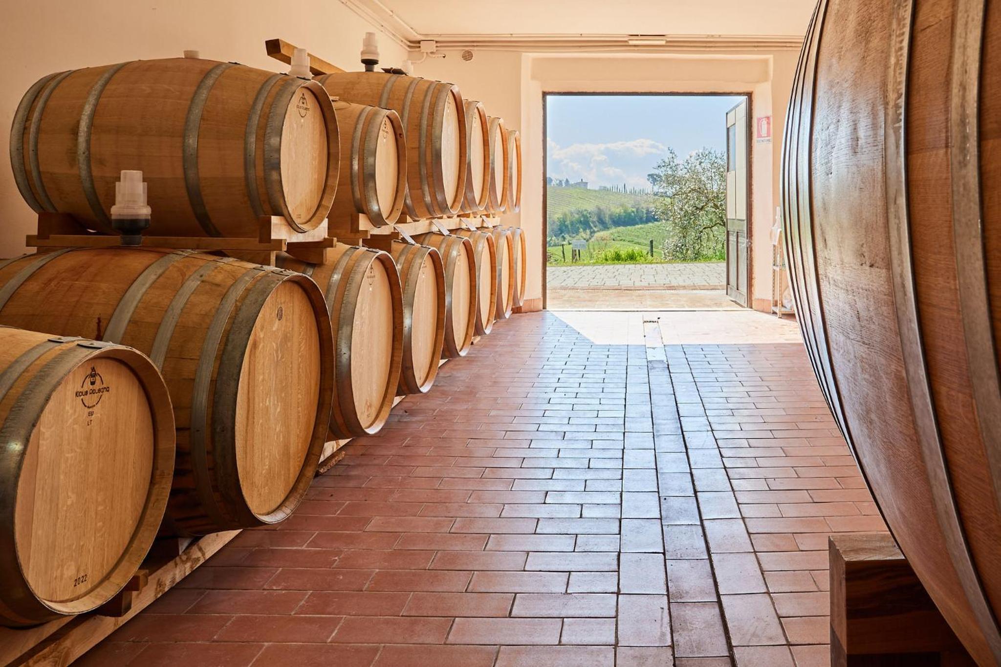 Poggio Golo - Villa och Vingård - Toscana, Bild 7
