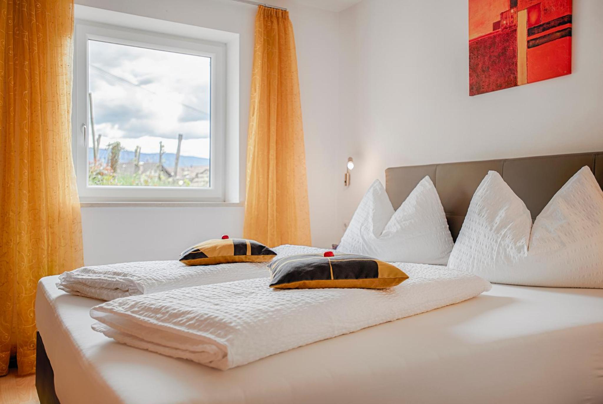 Two-Bedroom Apartment with Terrace