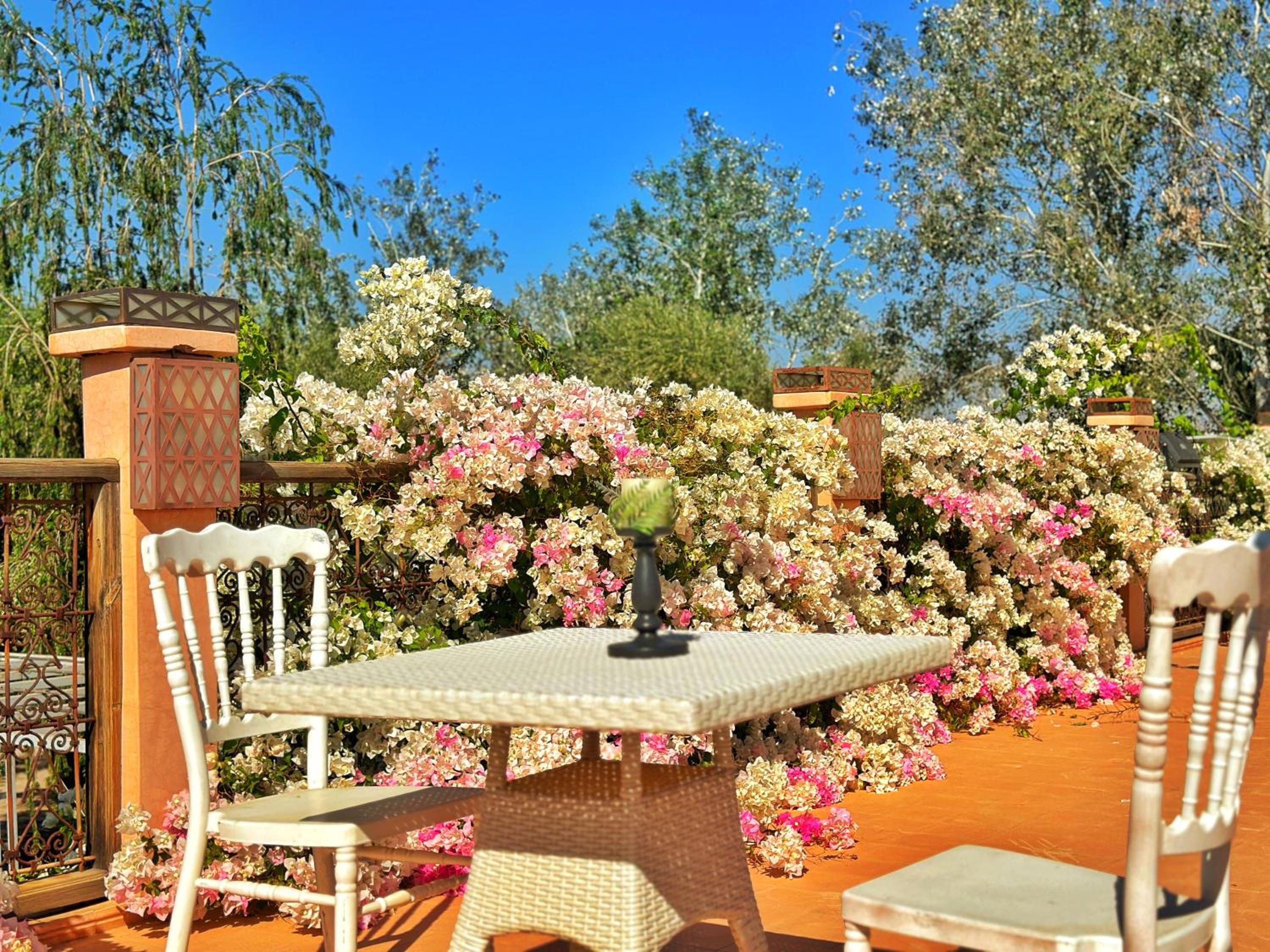 Three-Bedroom Villa - Photo 4