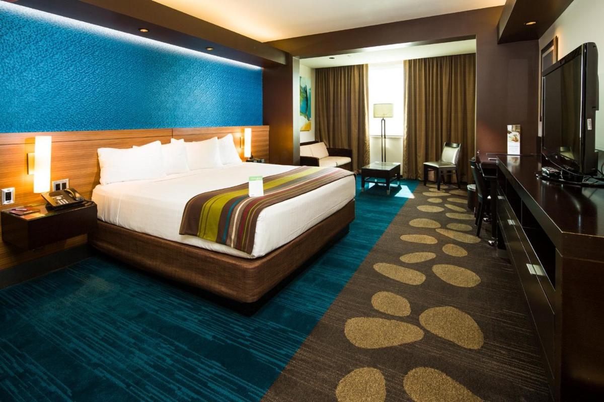 Creek Luxury Room 1 King Non Smoking