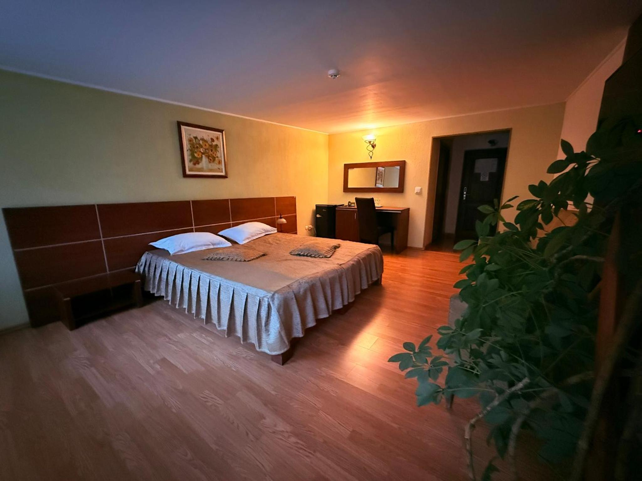 Standard King Room - Photo 12