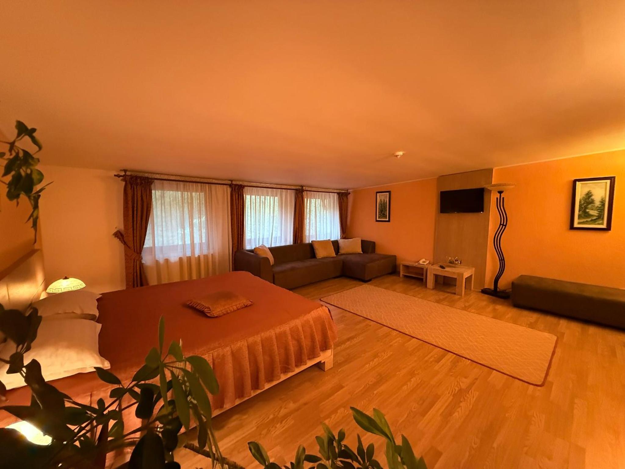 Superior Family Room - Photo 7