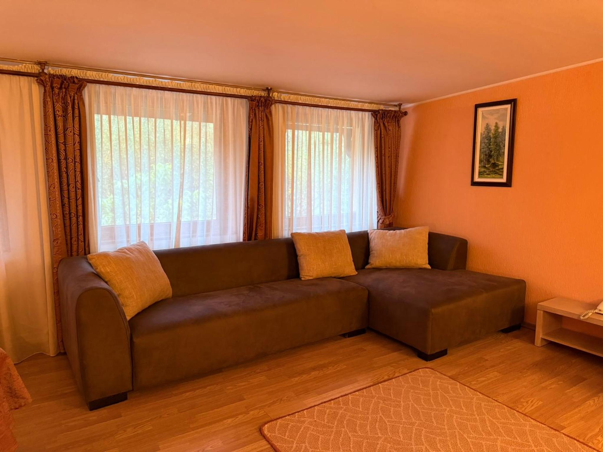 Superior Family Room - Photo 10