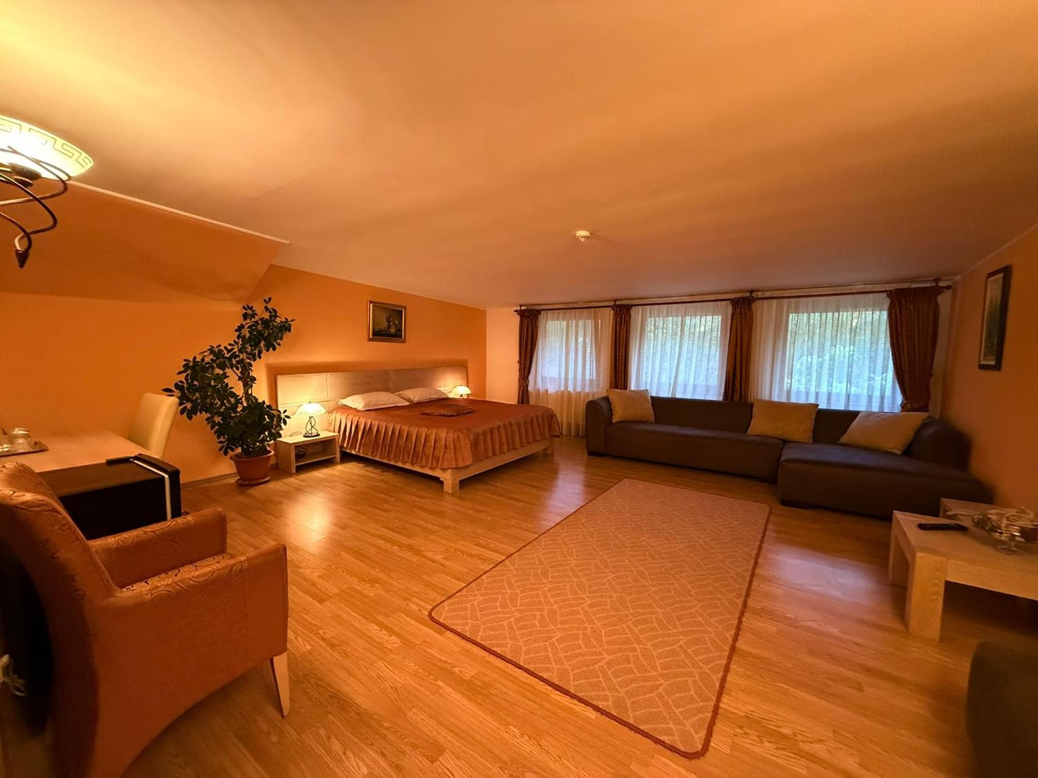 Superior Family Room - Photo 9