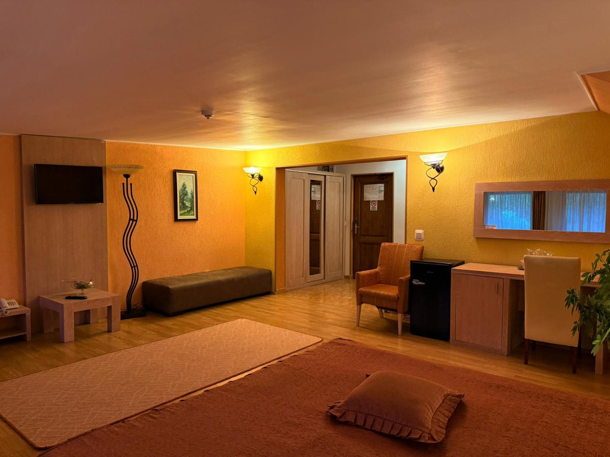 Superior Family Room - Photo 3