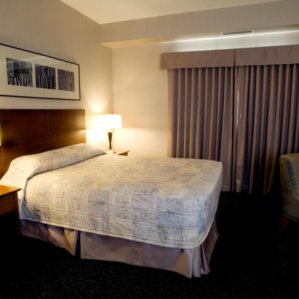 Queen Room - Disability Access photo 2
