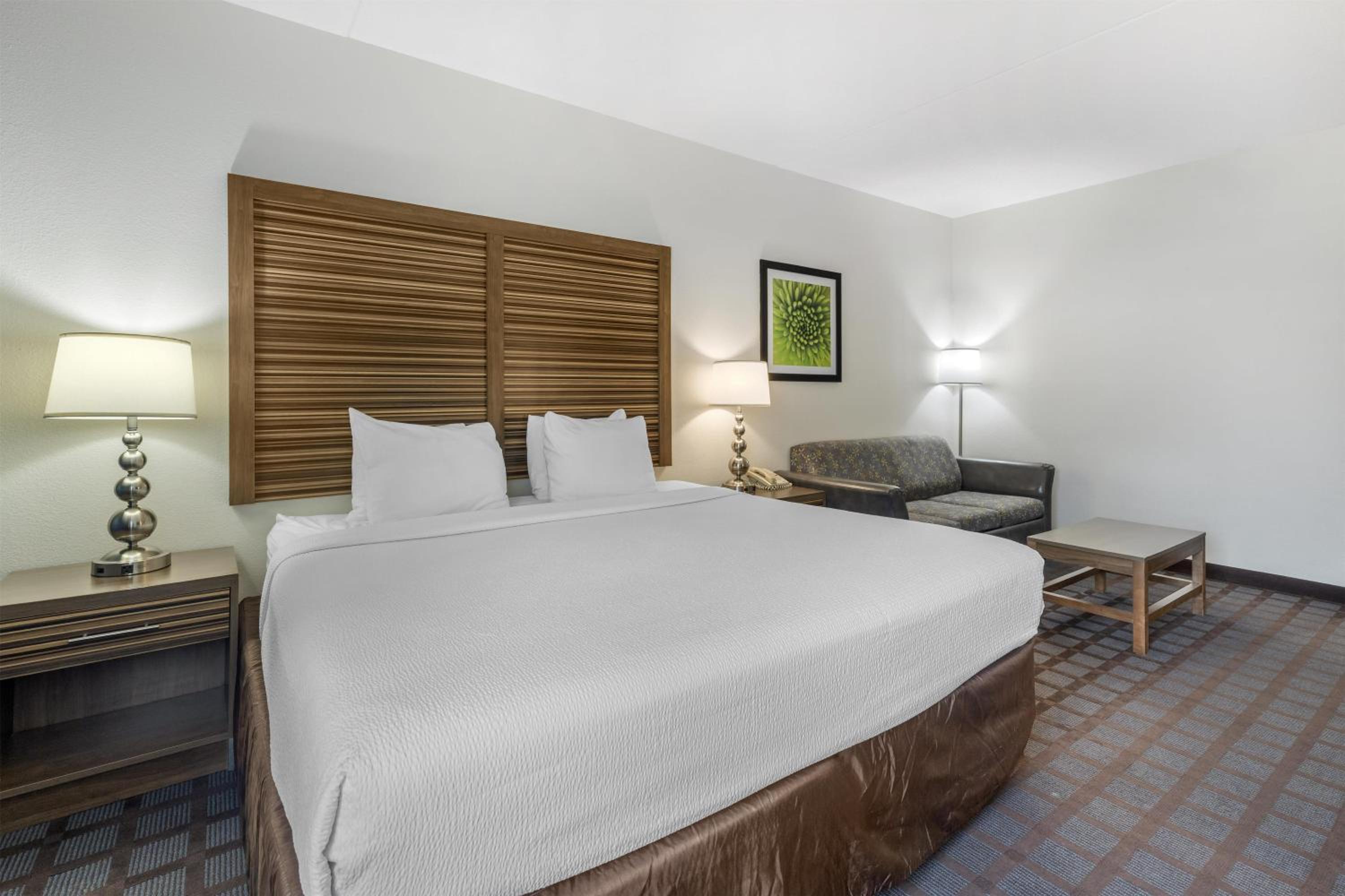 King Room with One Person Sofa Bed - Non-Smoking
