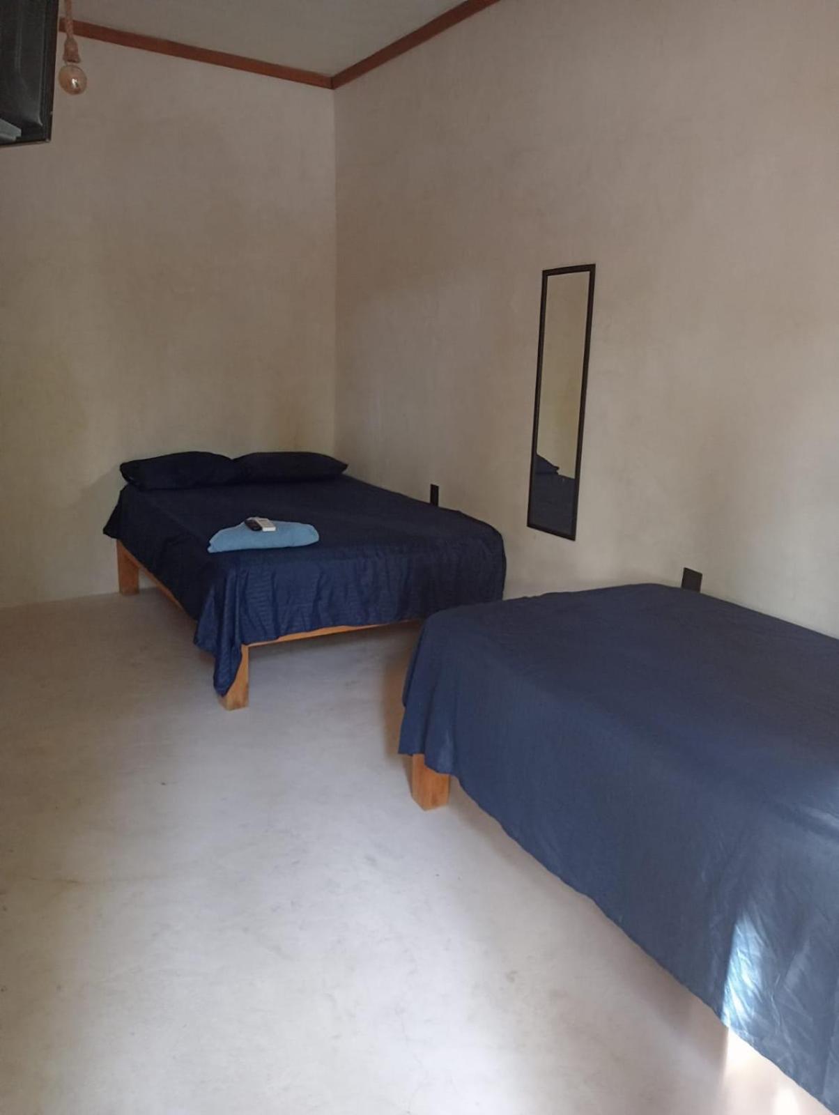 Twin Room photo 1