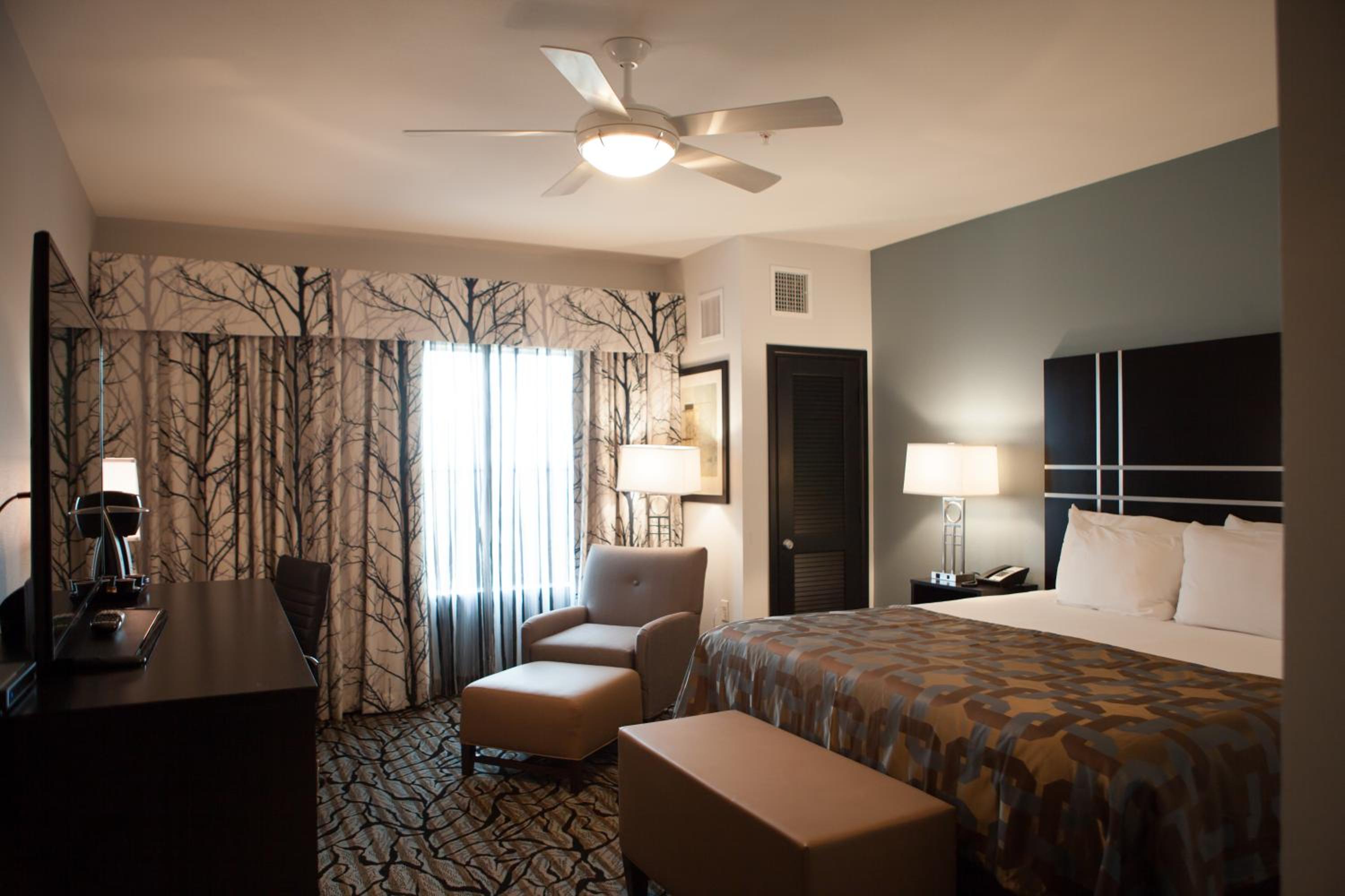 King Room - Non-Smoking photo 2