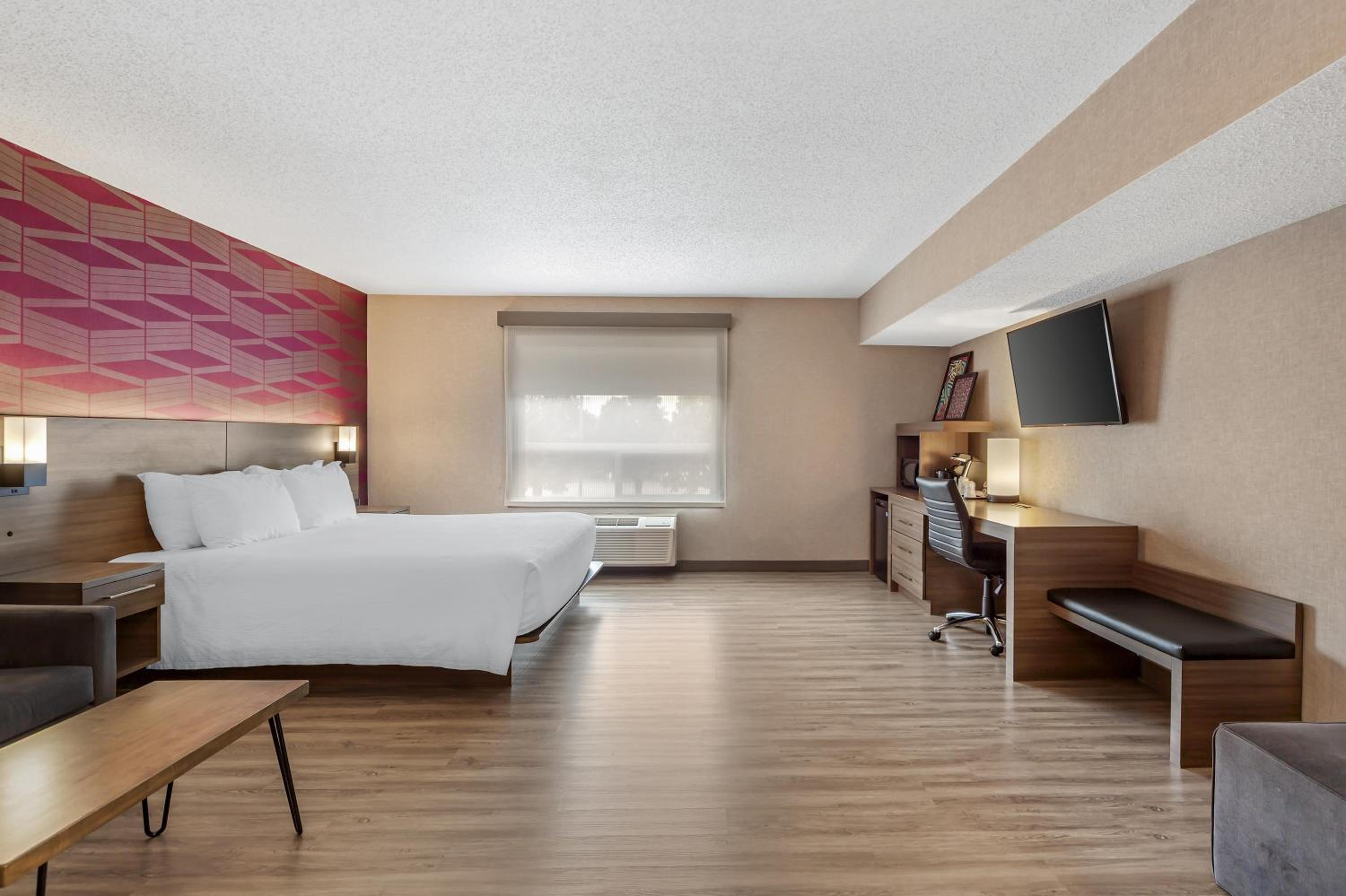 King Room with Sofa Bed and Walk-In Shower - Non-Smoking