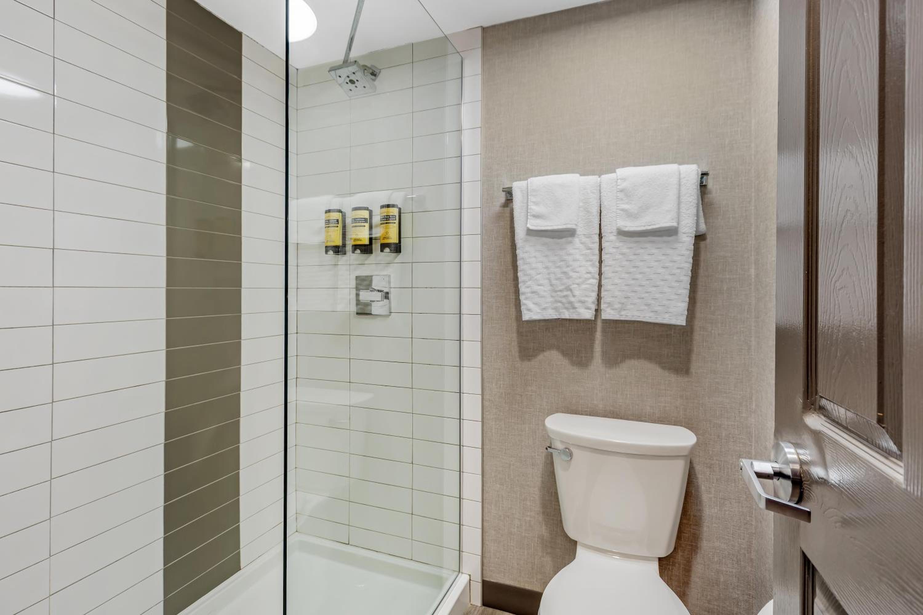 King Room with Sofa Bed and Walk-In Shower - Non-Smoking