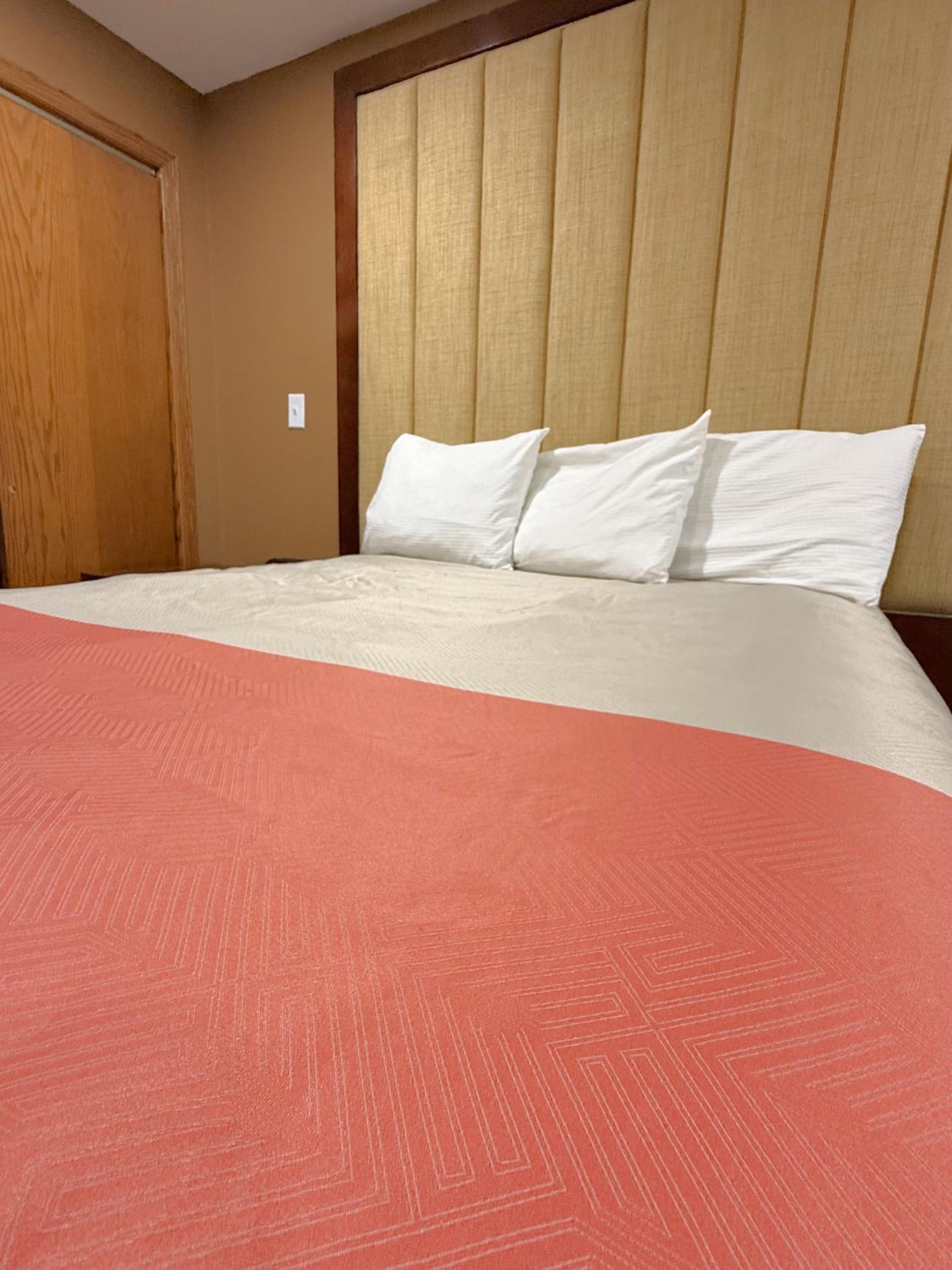 Single Room photo 2