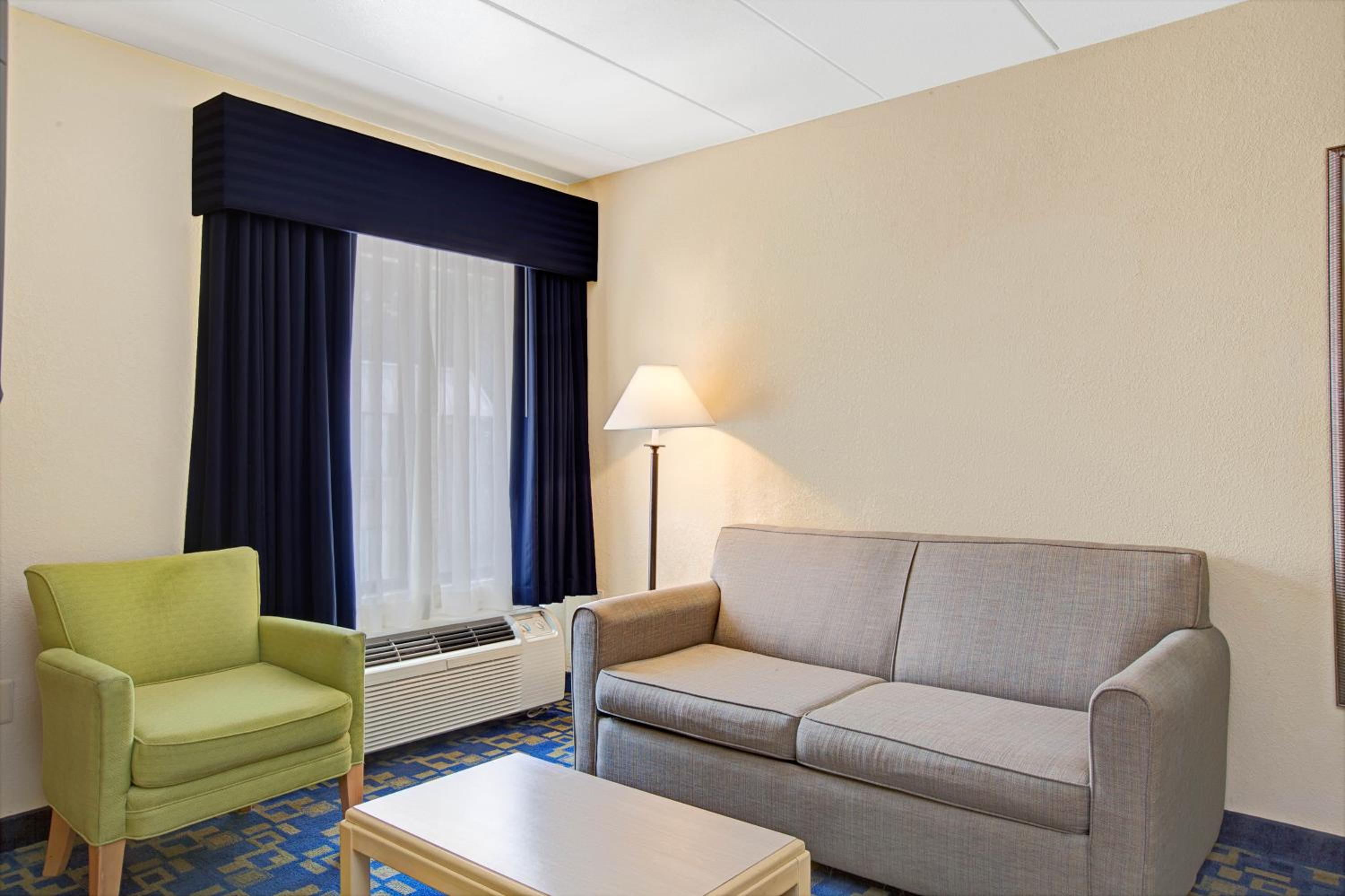 Deluxe King Suite - Photo 1