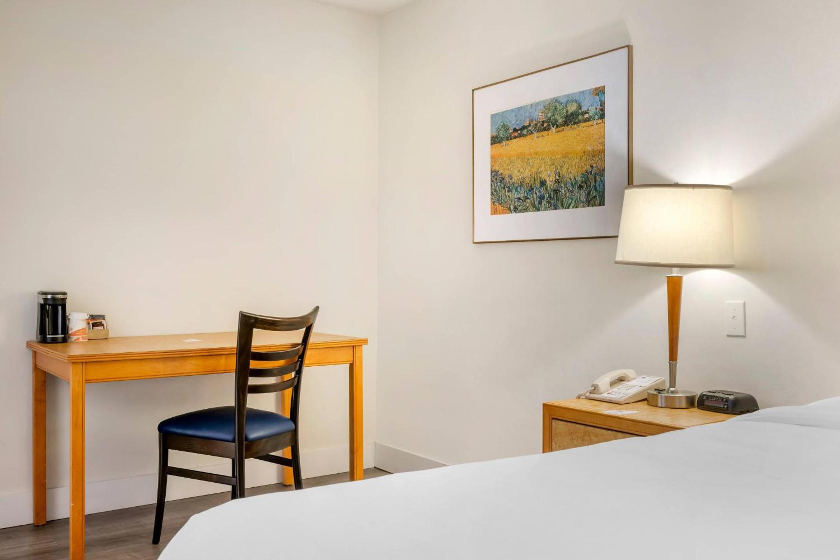 King Room - Non-Smoking photo 3