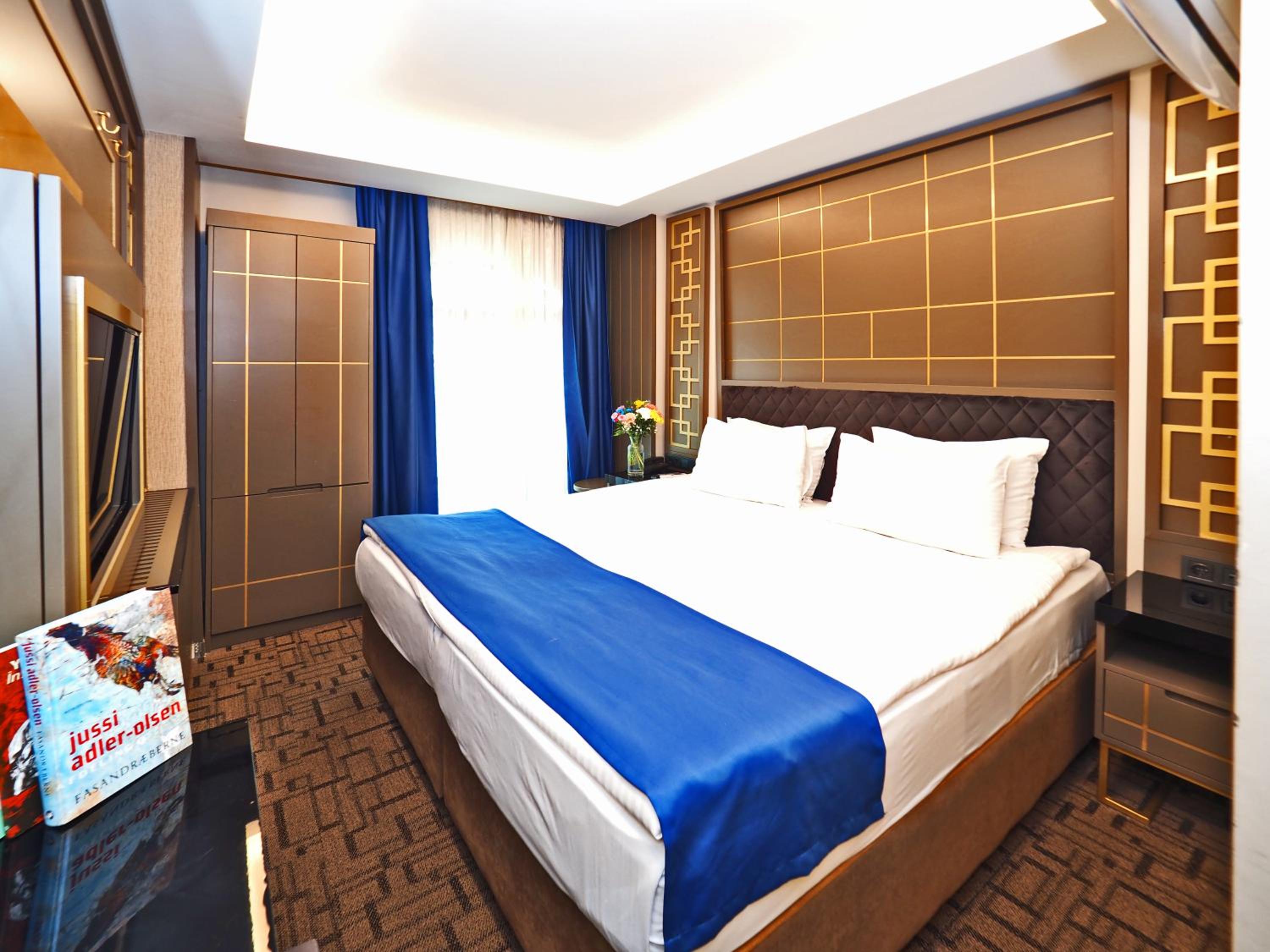 Deluxe Double or Twin Room photo 1