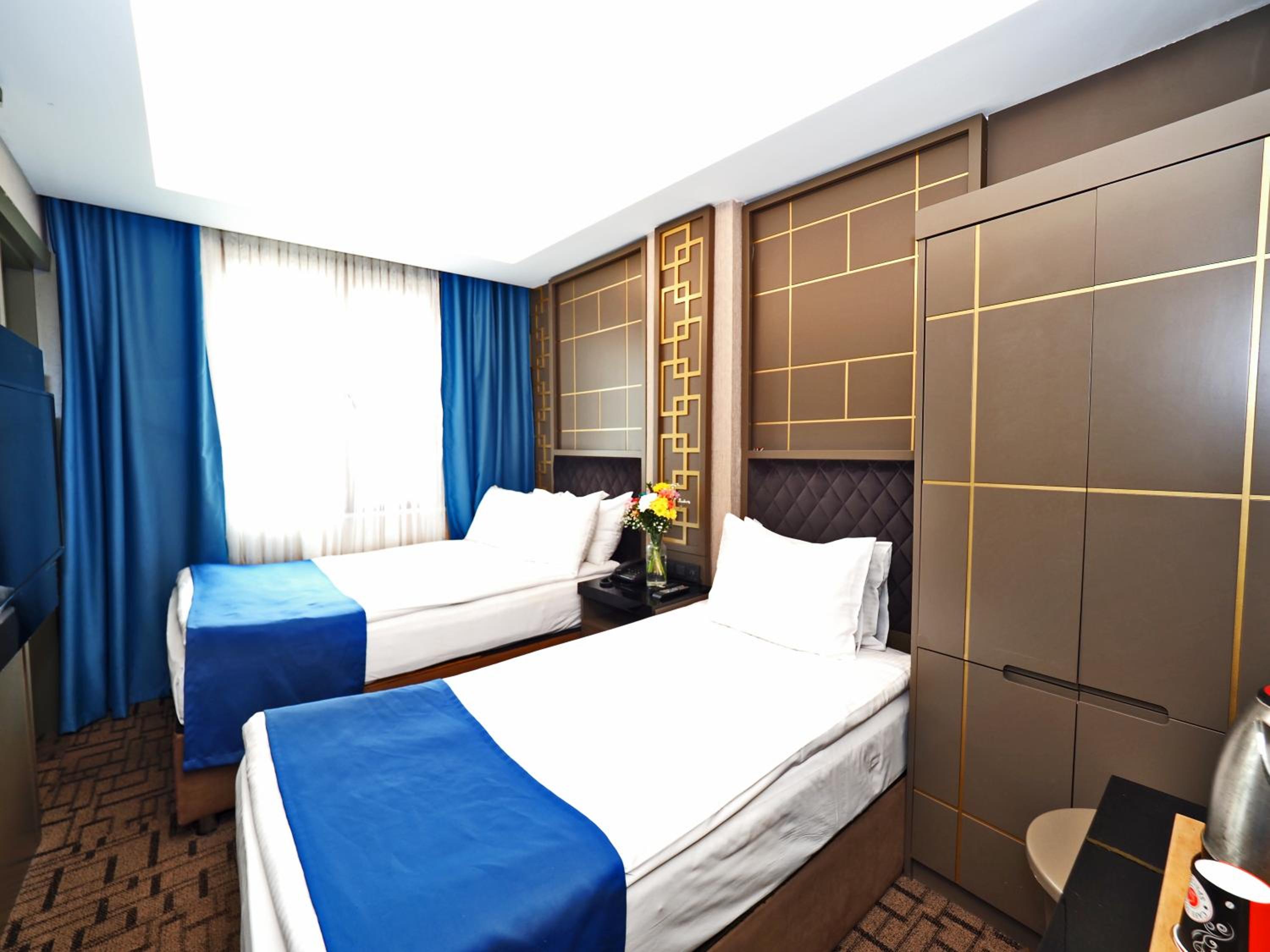 Deluxe Double or Twin Room photo 3