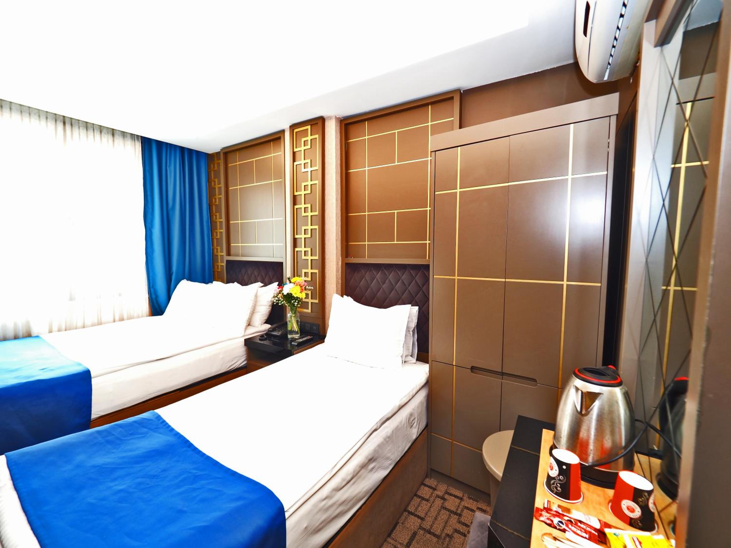 Deluxe Double or Twin Room photo 2