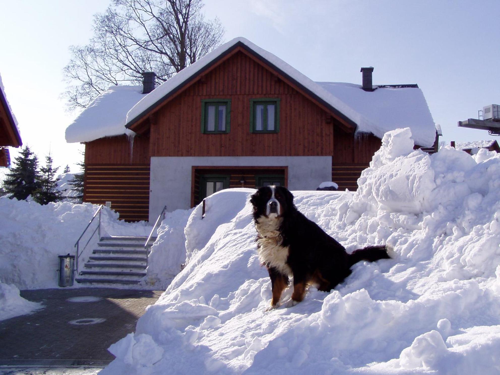 Three-Bedroom Chalet photo 2