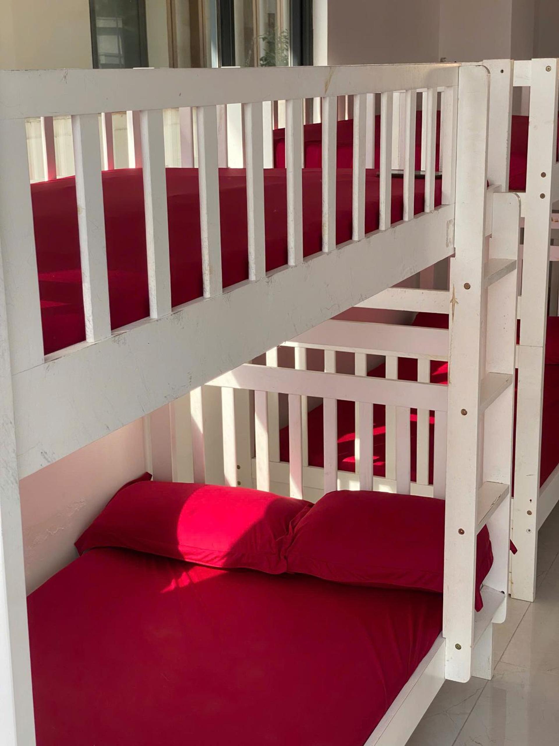 Bunk Bed in Mixed Dormitory Room