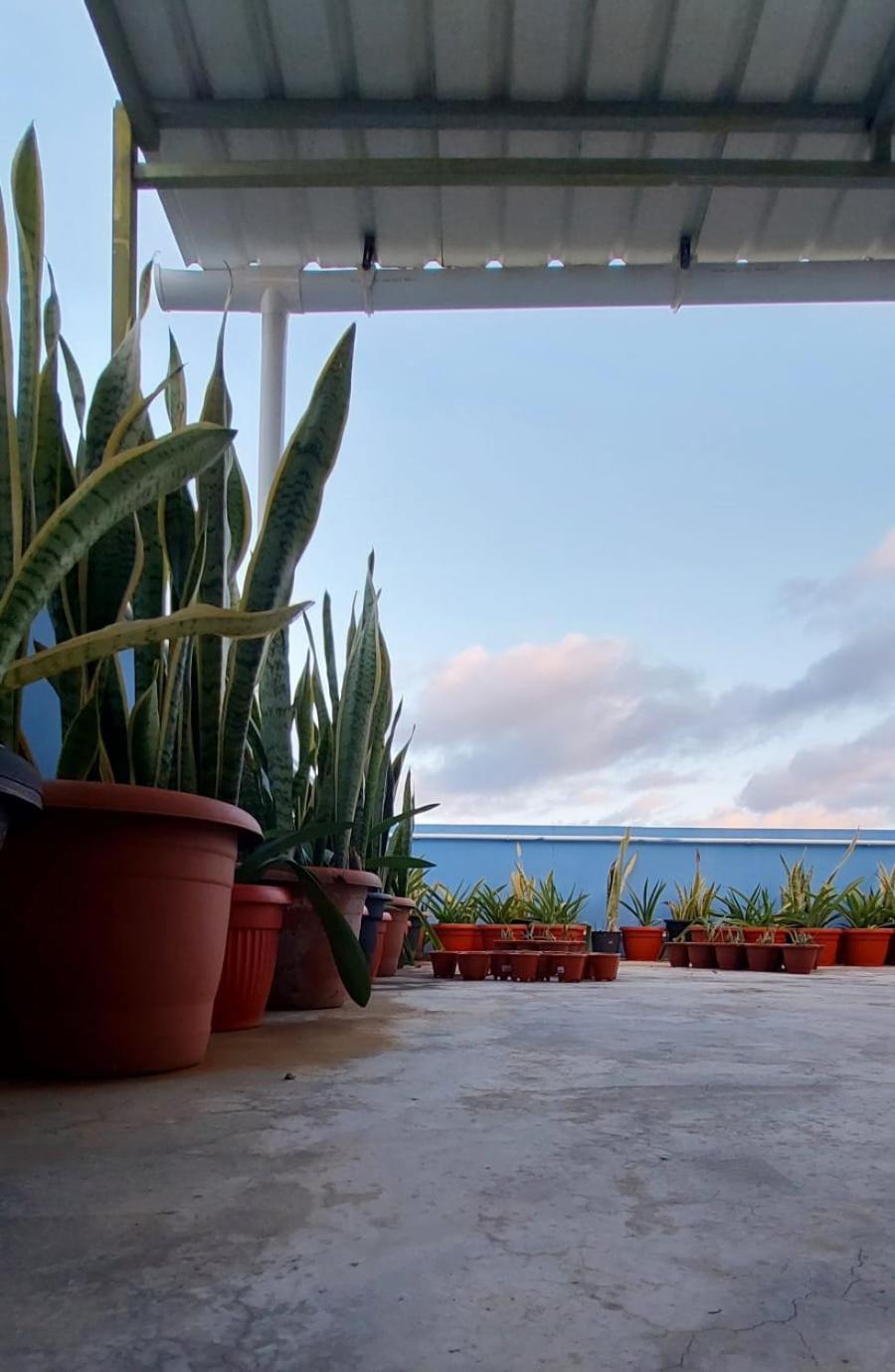 Penthouse Apartment photo 2