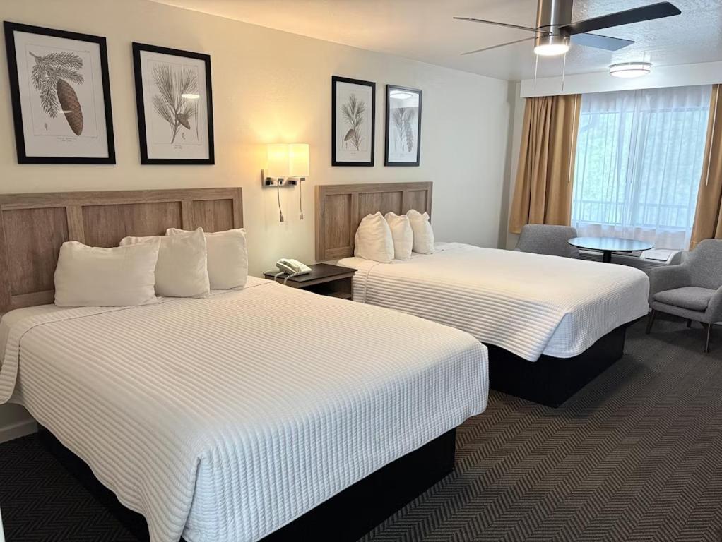 Quadruple Room with Balcony photo 2