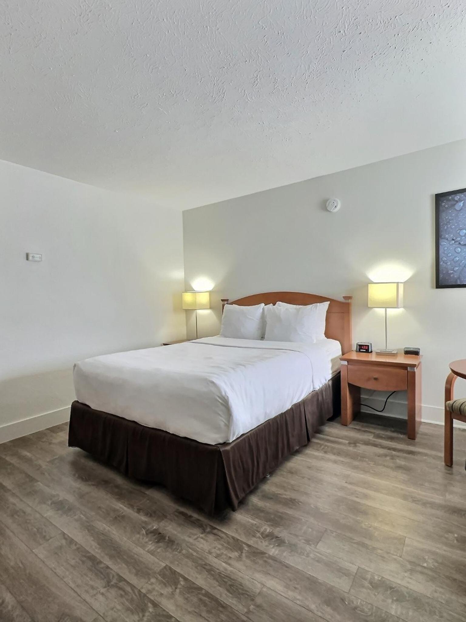 Queen Room - Non-Smoking/ Pet-Friendly  photo 3