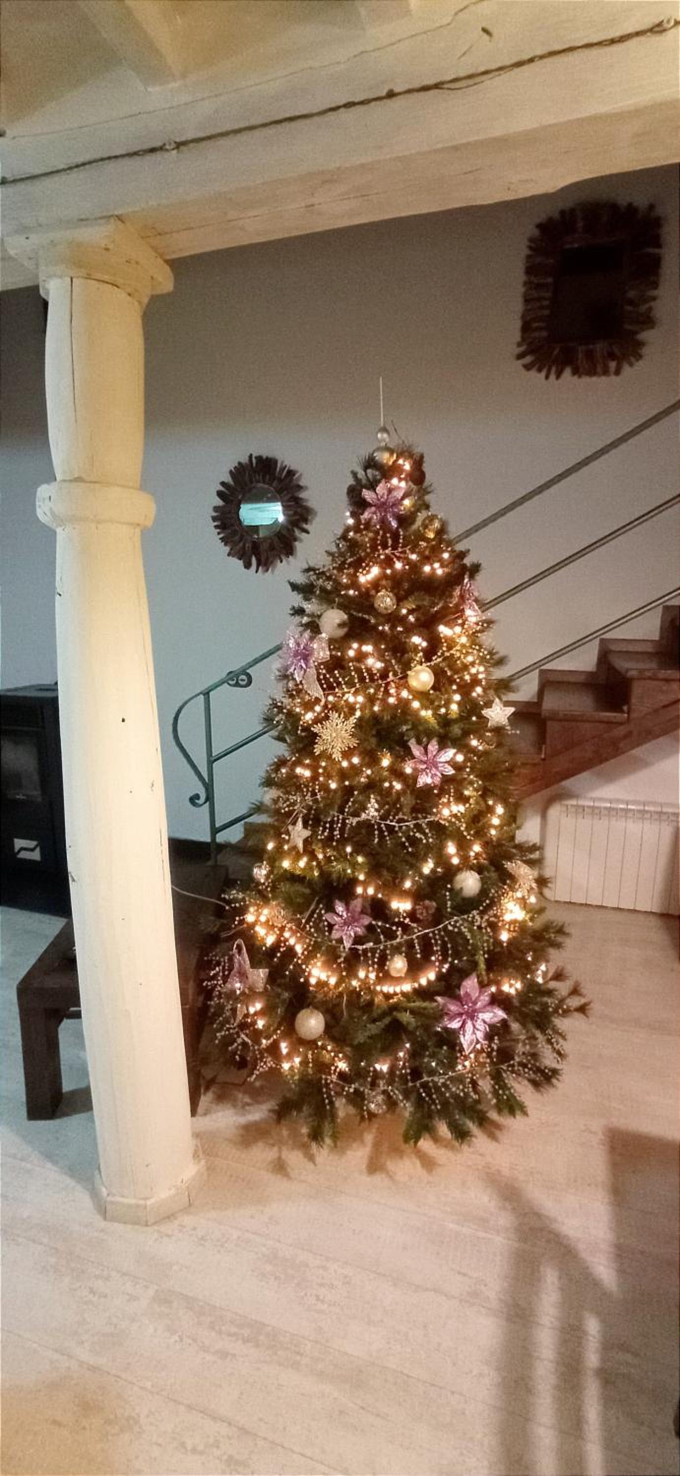 Duplex Apartment