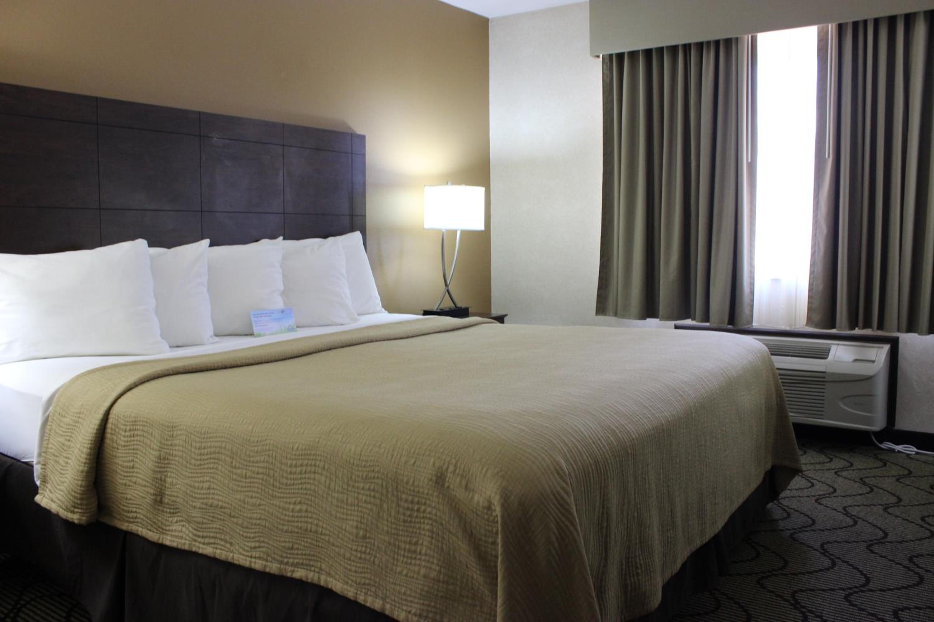 King Room- Non-Smoking - Photo 6
