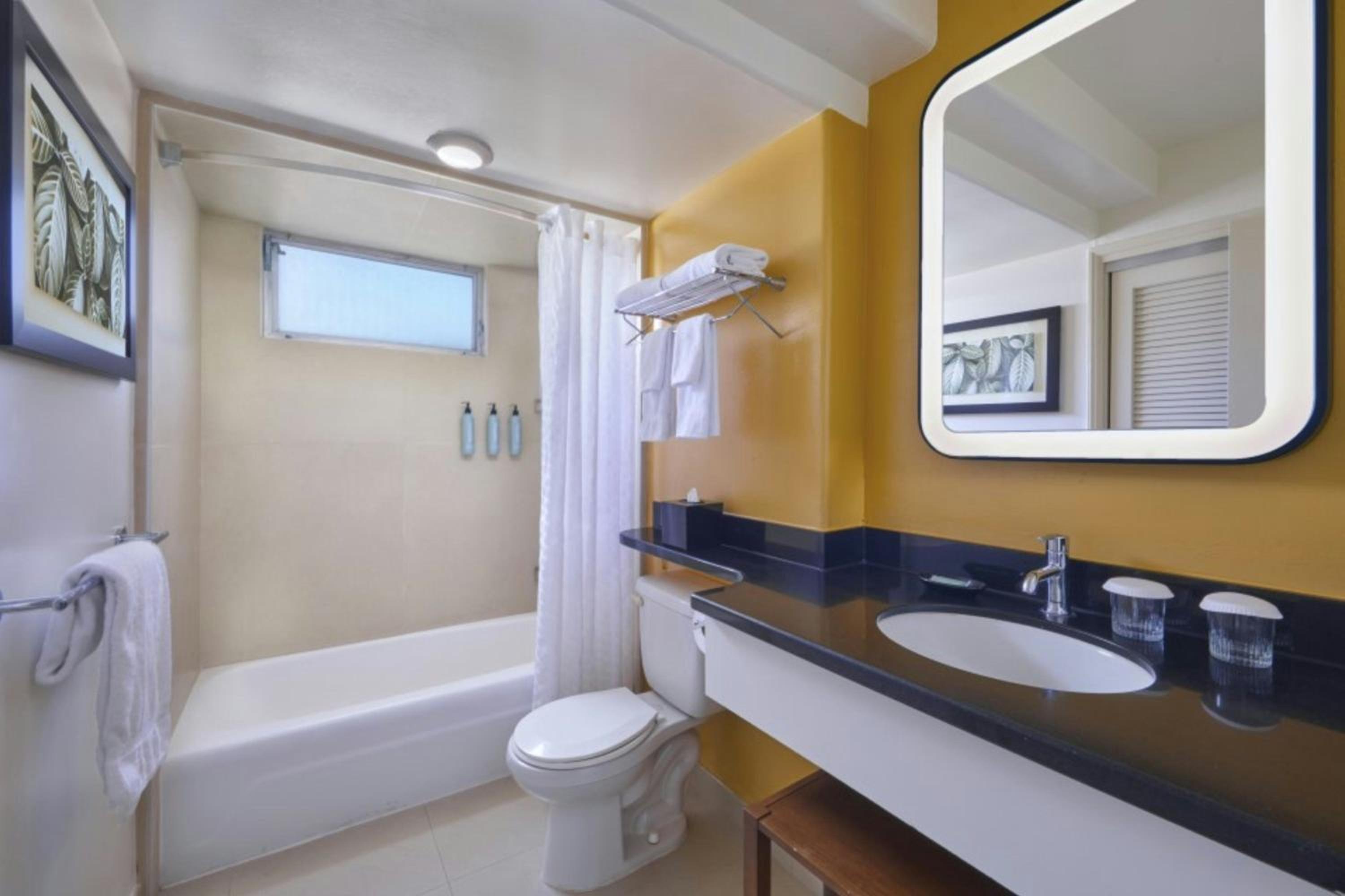 One-Bedroom Suite with Sofa Bed - Mobility/Hearing Accessible with Roll-In Shower - Photo 4