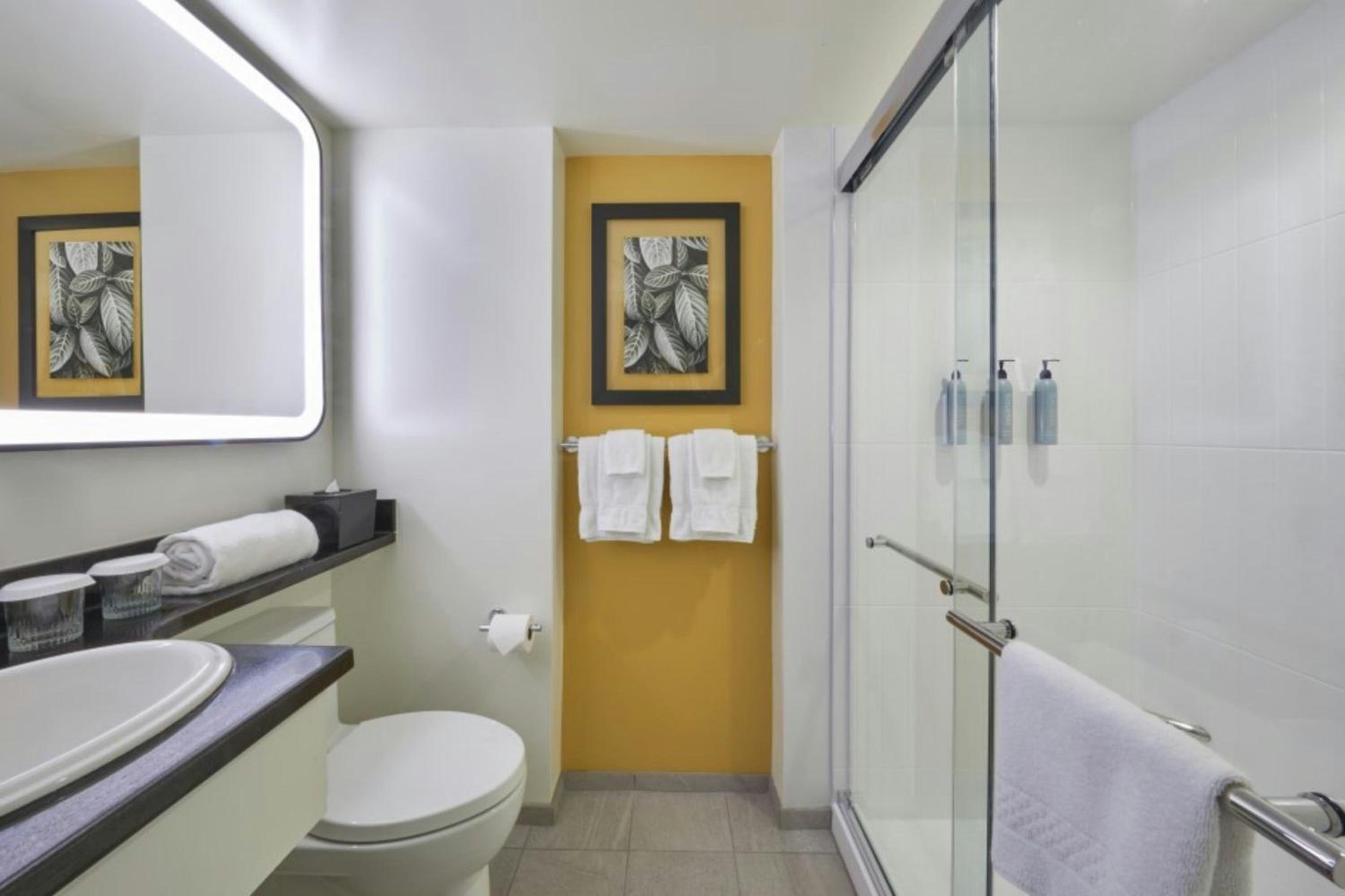 Standard Cozy Queen Studio with Balcony - Mobility/Hearing Accessible with Roll-In Shower - Photo 4