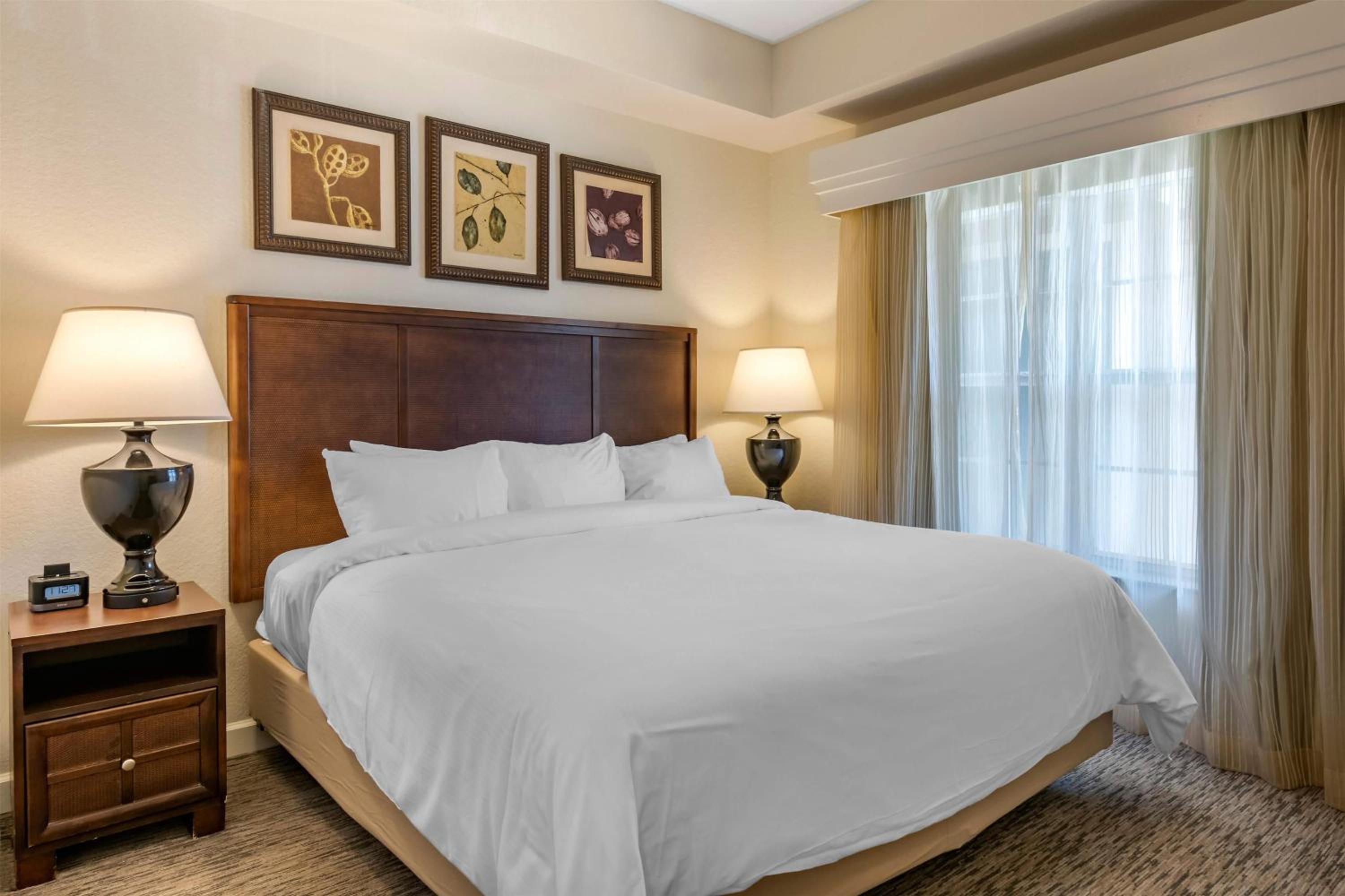 One-Bedroom King Deluxe Suite with Sofa Bed