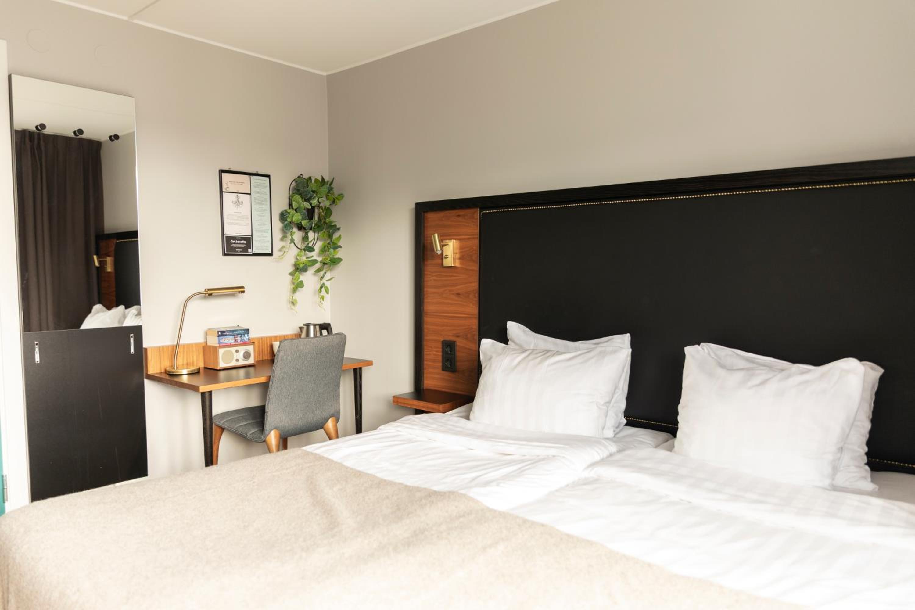 Standard Double or Twin Room