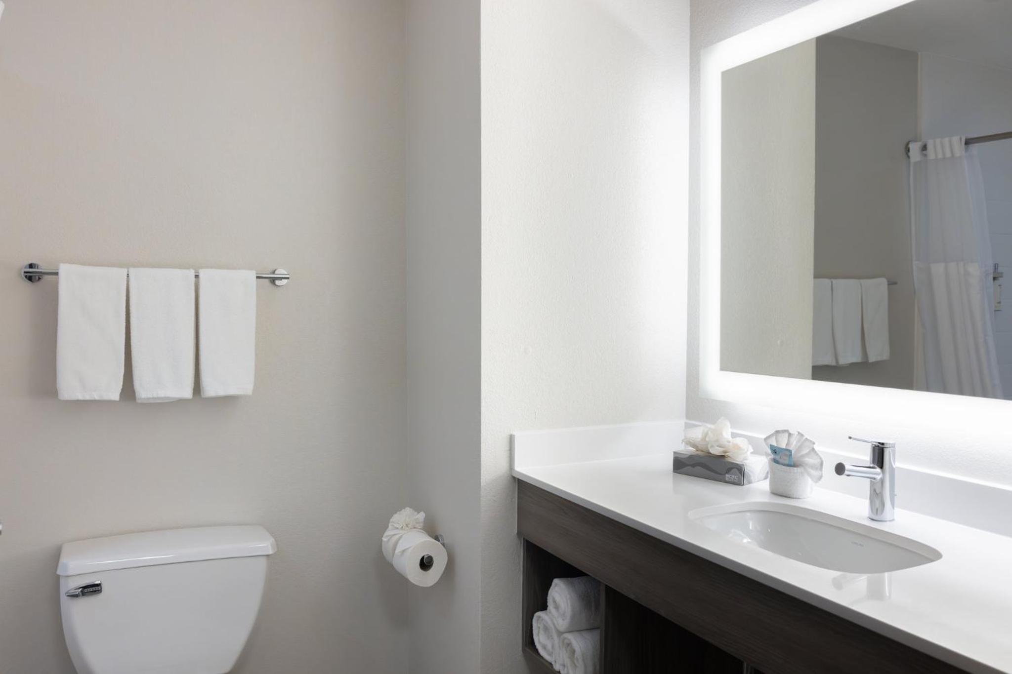 King Suite - Non-Smoking - Photo 9