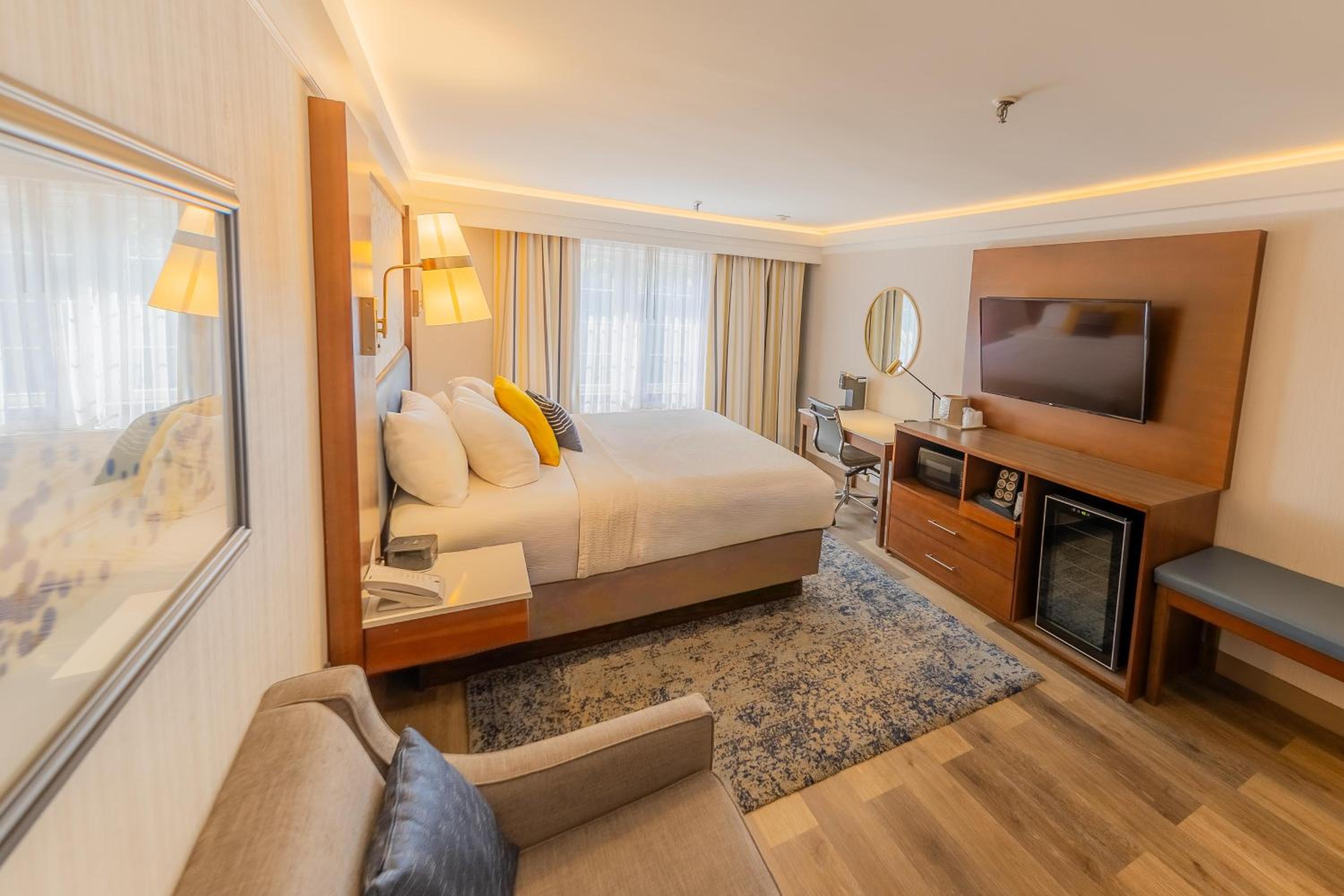 King Suite with Sofa Bed photo 2