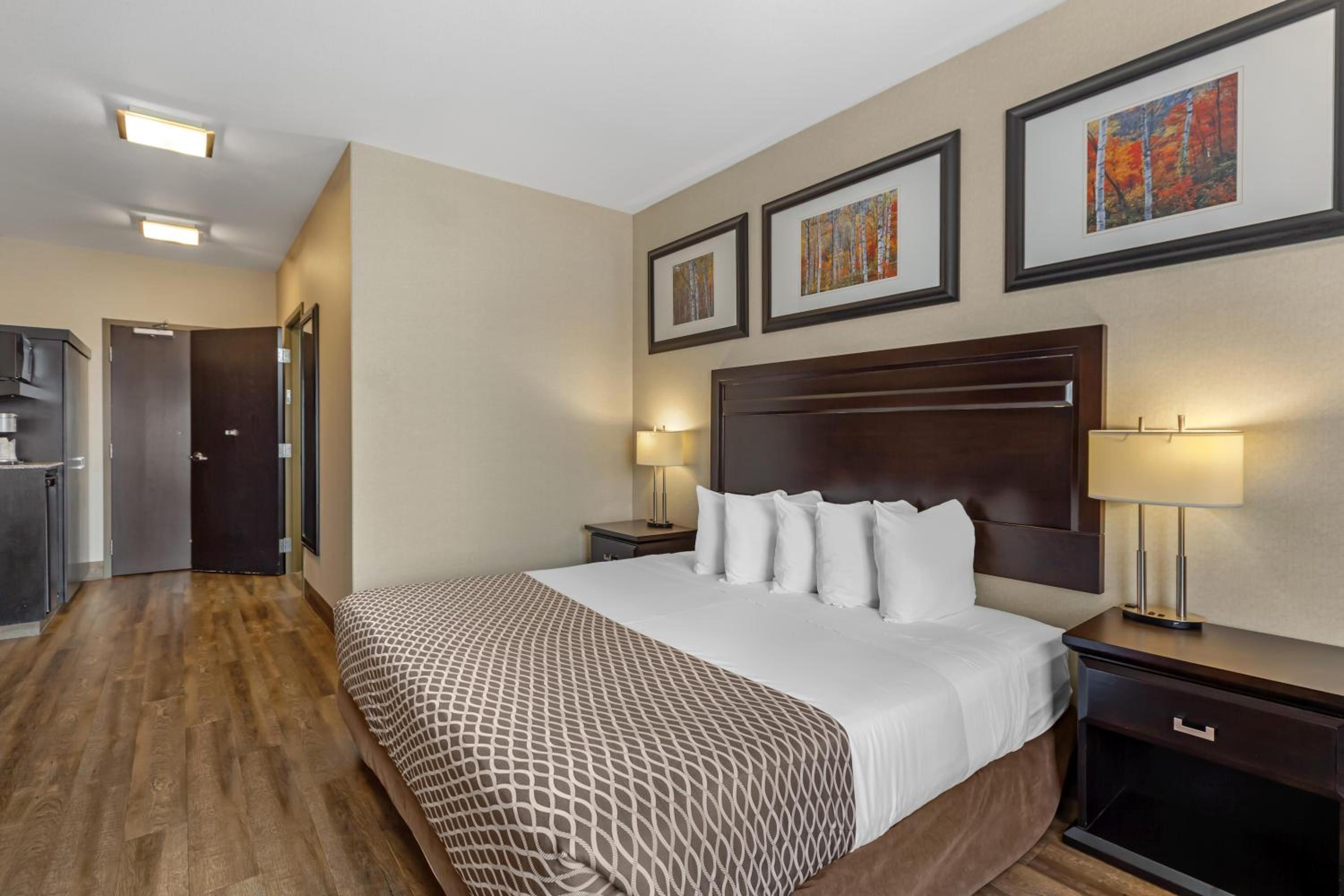 King Room with Roll-In Shower - Mobility Accessible/First Floor