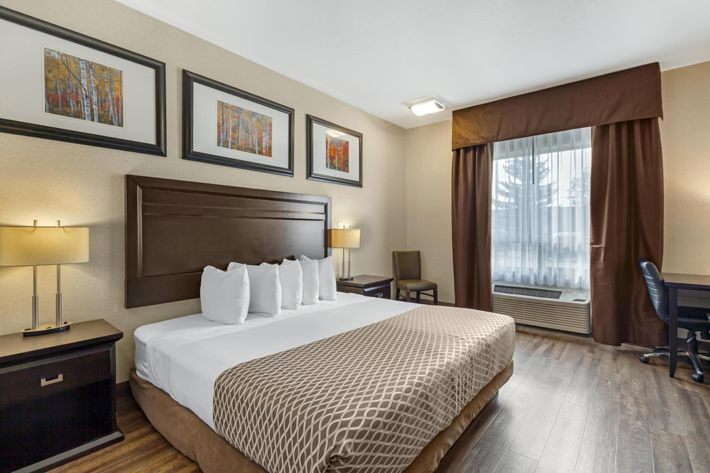 King Room with Roll-In Shower - Mobility Accessible/First Floor photo 2