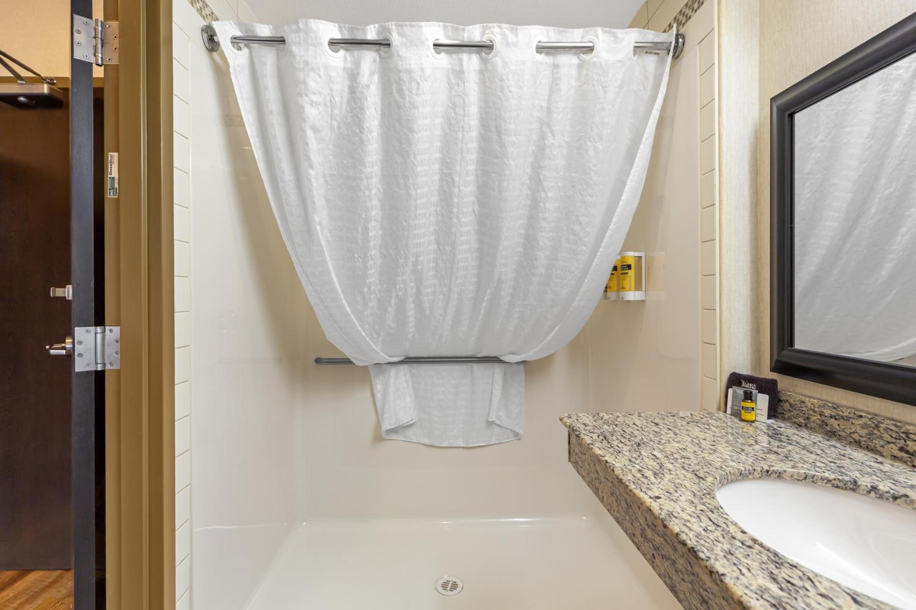 King Room with Roll-In Shower - Mobility Accessible/First Floor